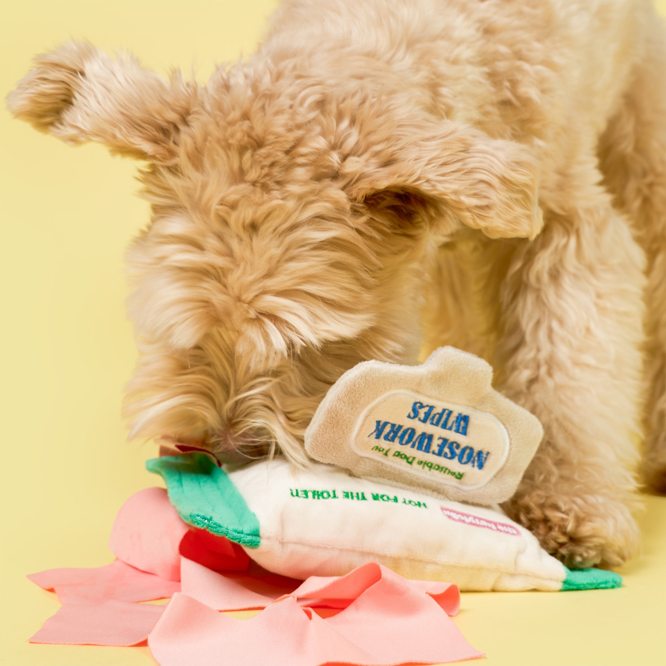 Dog playing with a colorful toy on a yellow background