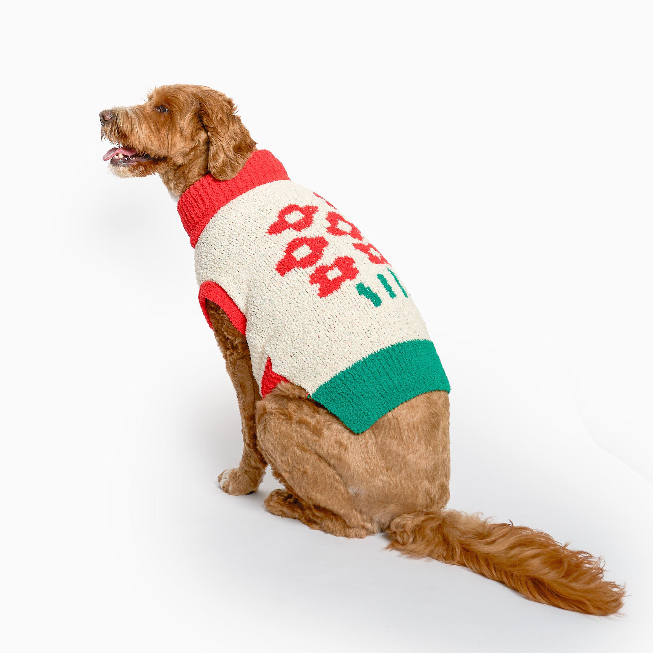 Brown dog wearing a flower pattern knit sweater