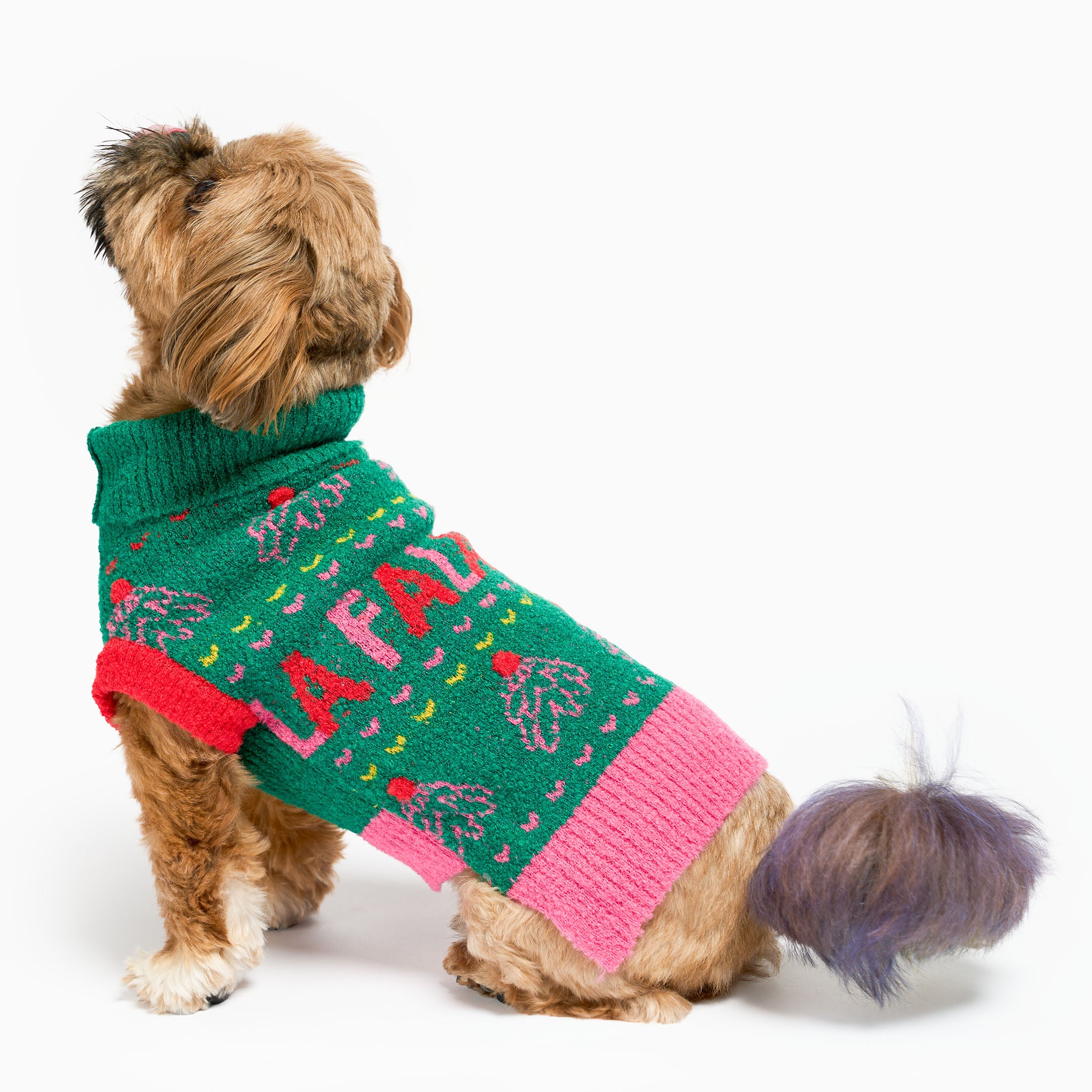 A dog wearing a colorful sweater with 'FALALA' text on a white background
