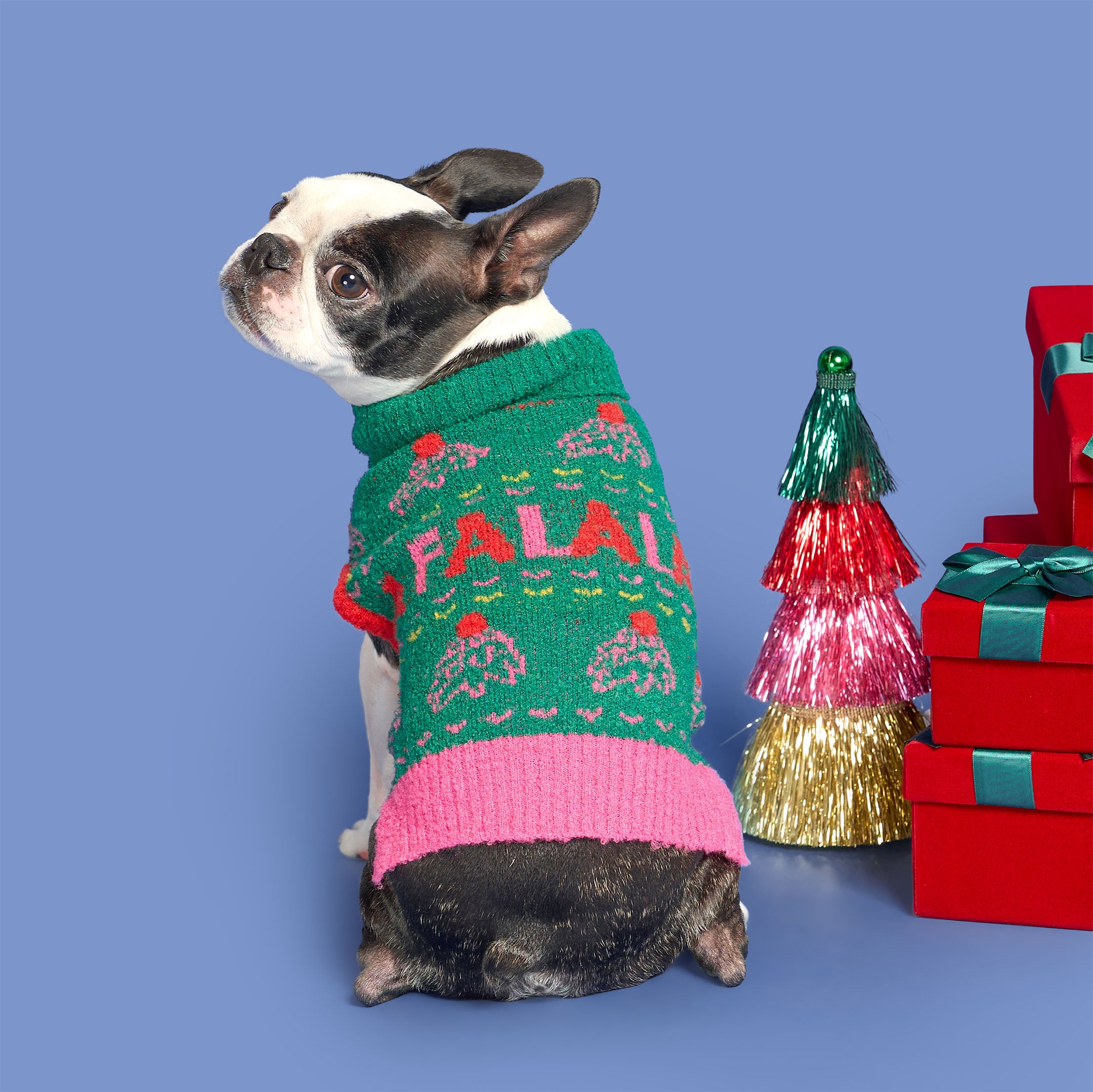 Dog wearing a festive sweater with Christmas decorations on a blue background