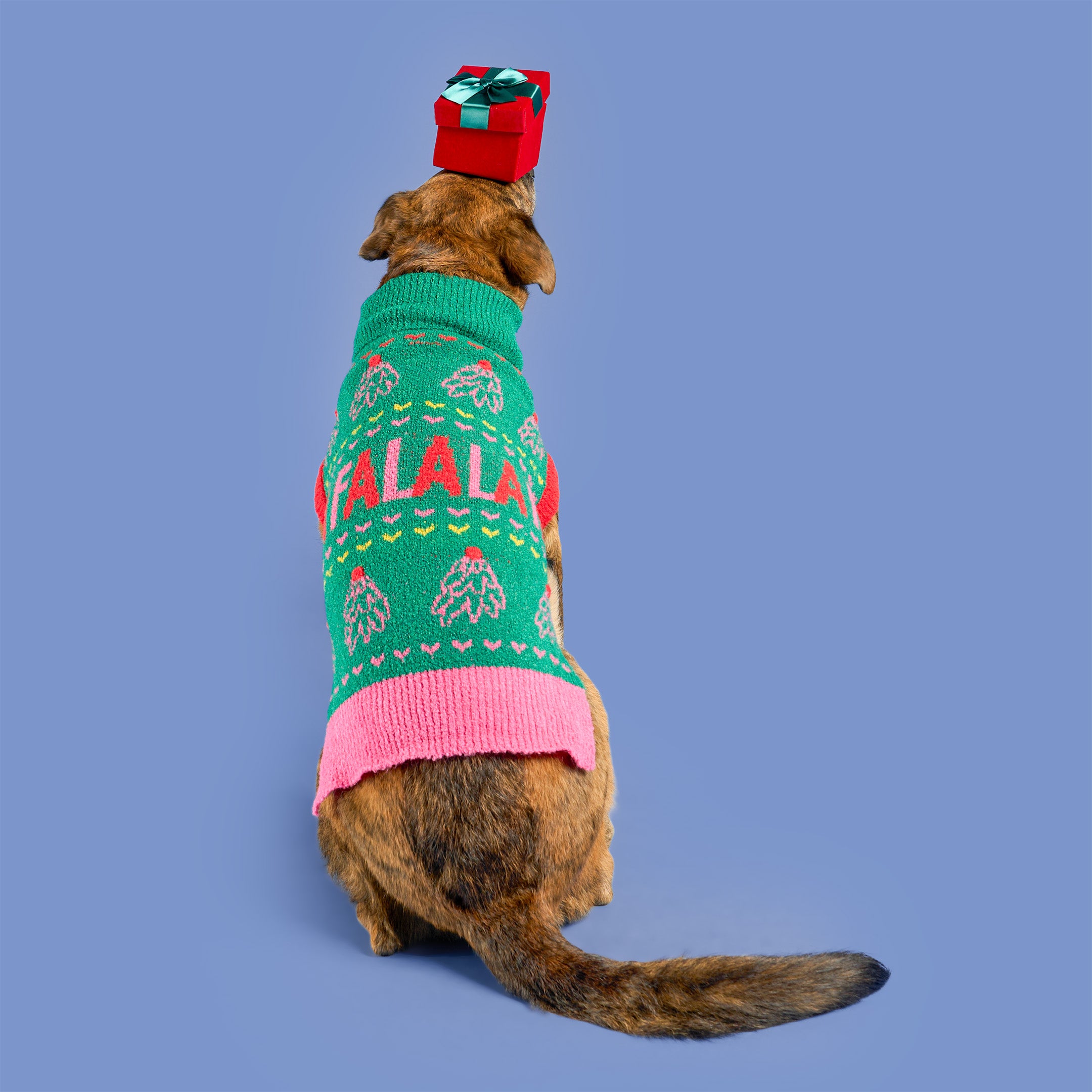 Dog wearing a festive sweater and hat on a blue background