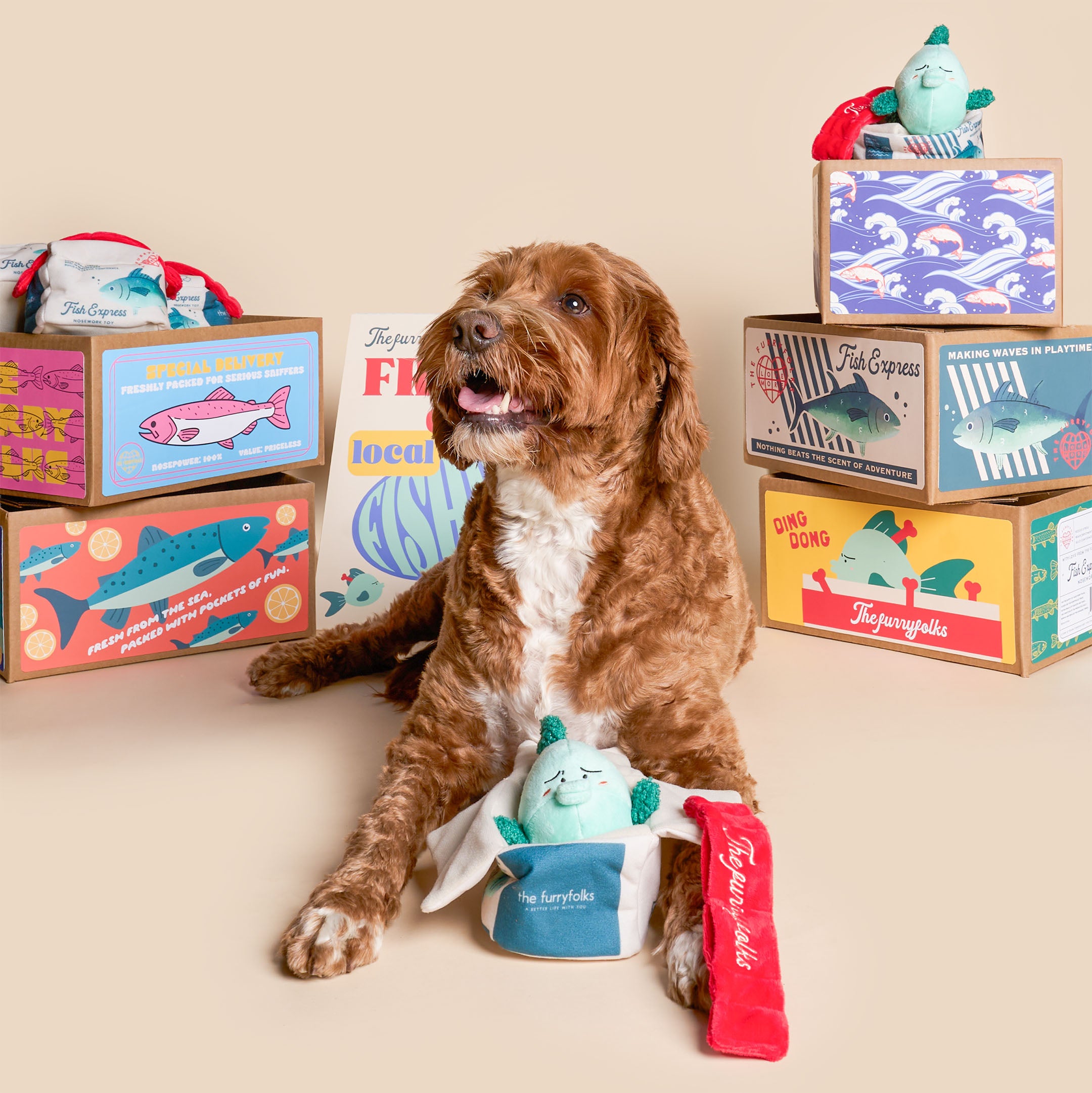 Dog sitting with toys and colorful boxes in the background