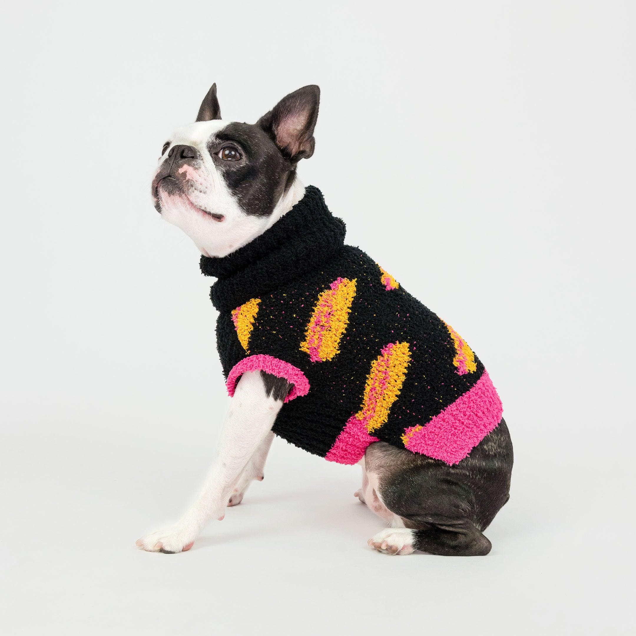 Small black and white dog sitting while wearing a black knit sweater with bright orange and pink hot dog patterns, featuring a pink hem. This playful and cozy sweater adds warmth and a fun, quirky style, perfect for furry friends who love to stand out.