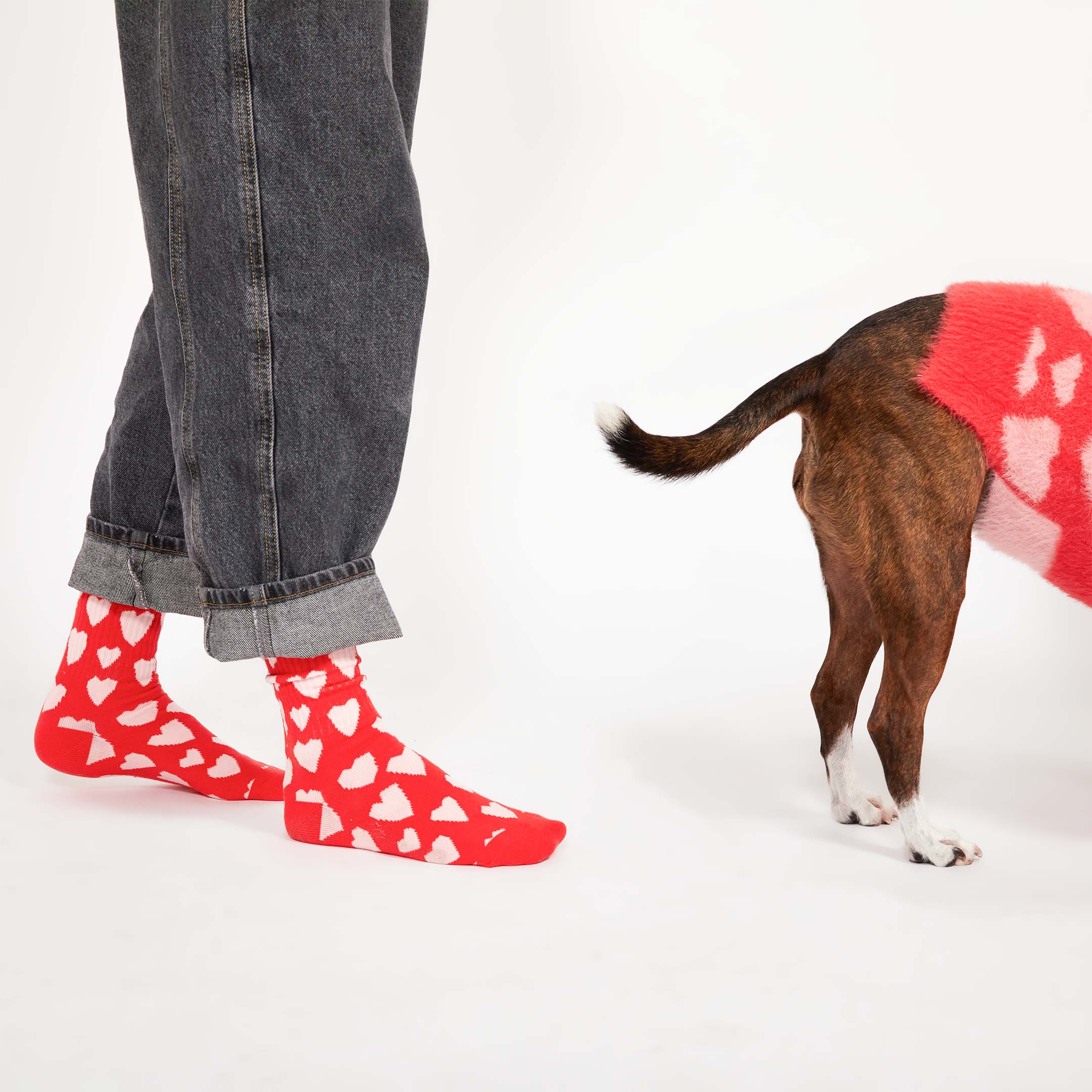 A fun scene showing vibrant red socks with abstract heart patterns on a person paired with their furry pal, who’s wearing a matching heart-patterned outfit. Perfectly capturing the playful, coordinated style for pet lovers!