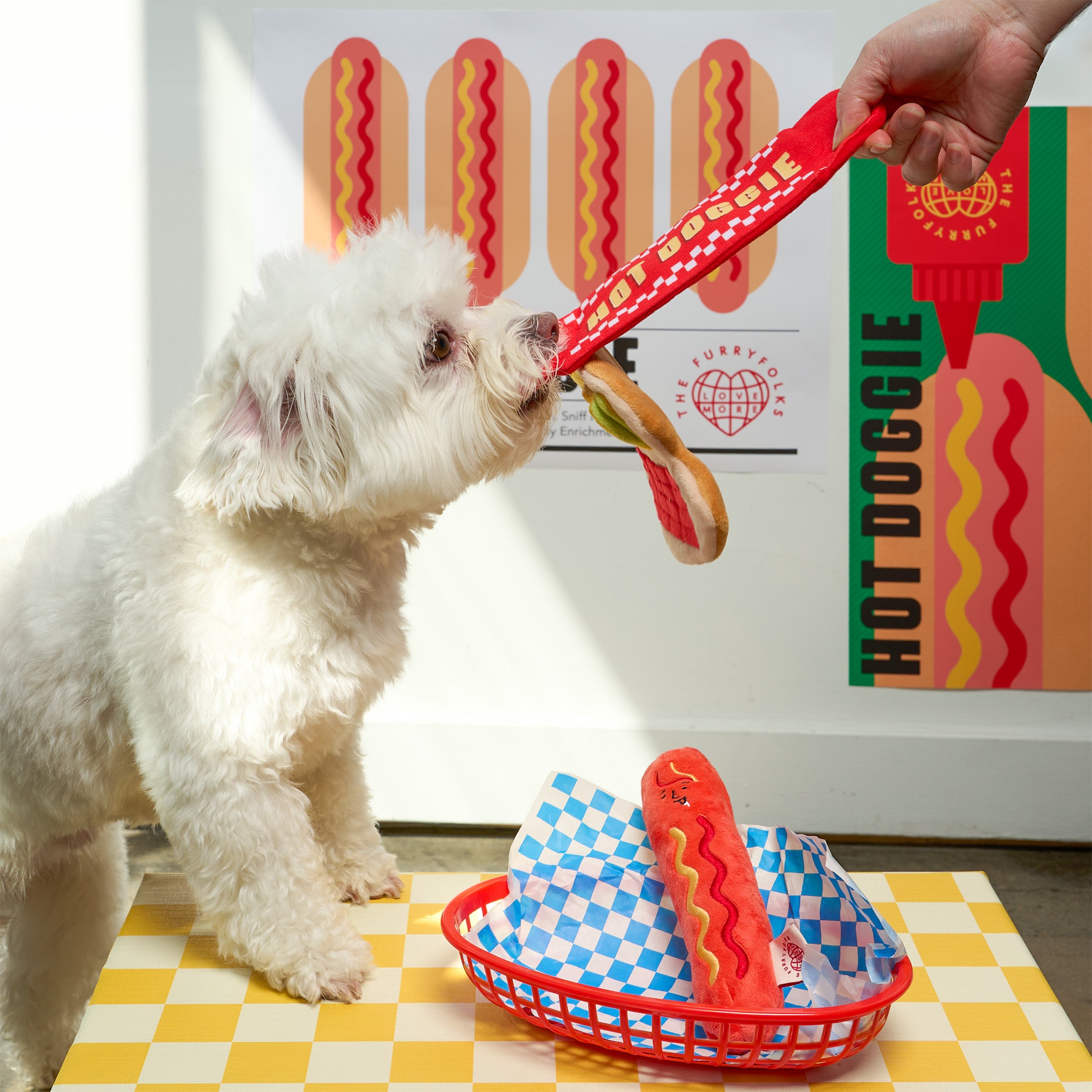 Small white dog playing with a red hot dog toy in front of a colorful wall with 'Hot Doggie' branding.