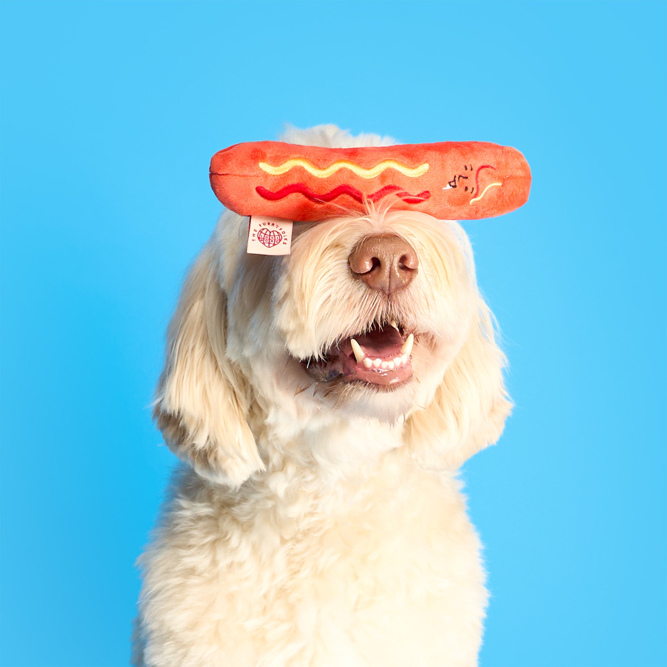 Dog wearing a red hot dog-shaped toy on a blue background