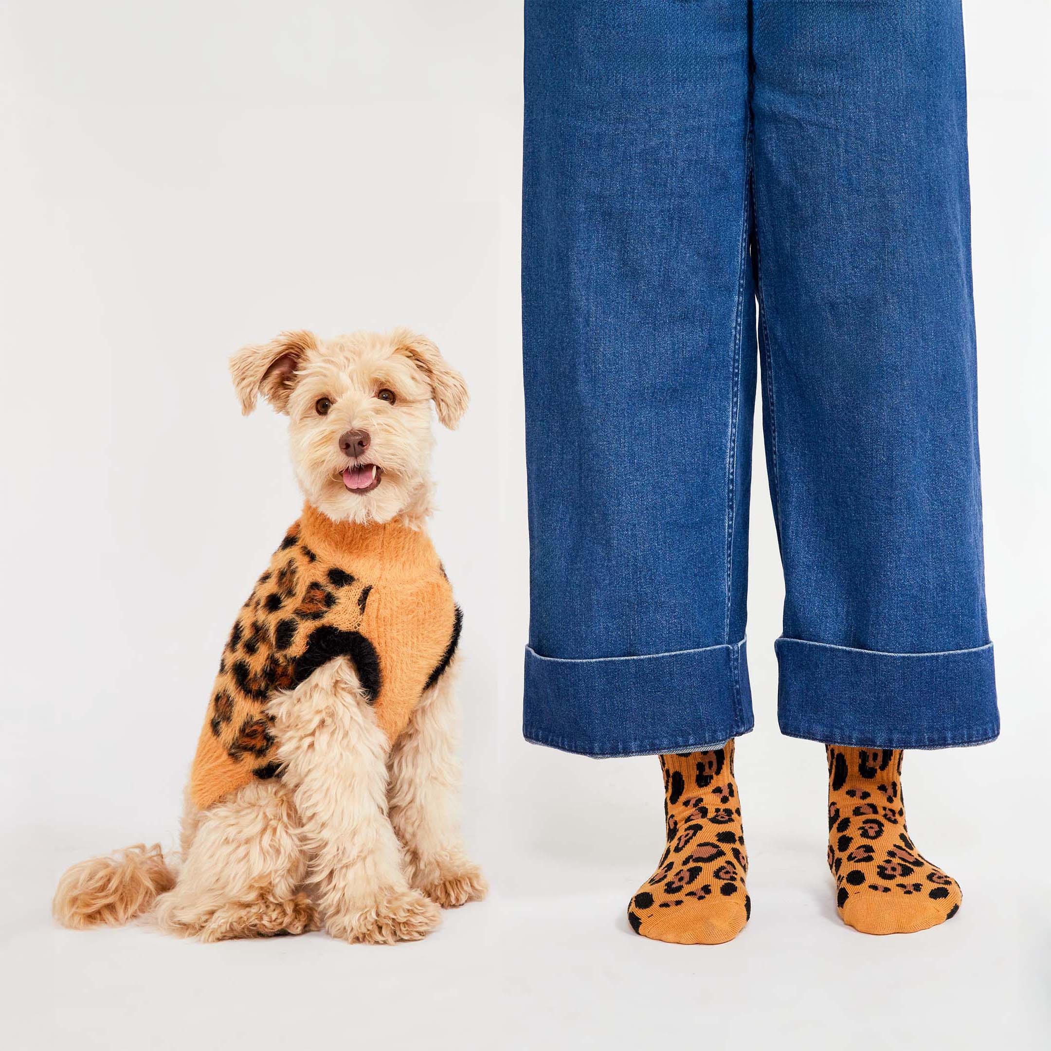 A playful and coordinated look featuring matching mustard-yellow leopard print socks on a person and a cozy leopard print sweater on their dog. Perfect for twinning with your furry pal and making a bold, stylish statement together!