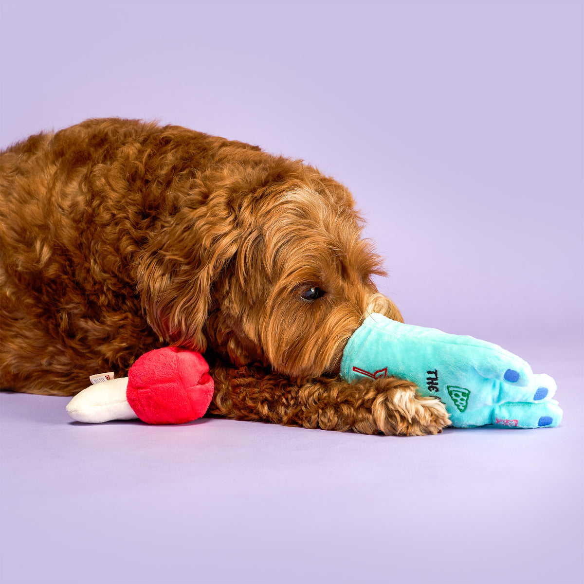 A curly brown dog exploring the wrist opening of a Lost Hand toy, with the removable bone beside it.