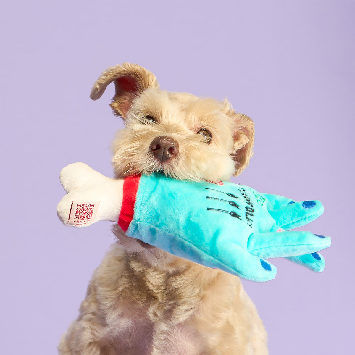 A small tan dog holding the turquoise Lost Hand nosework toy in its mouth, with the white bone extending from the wrist.