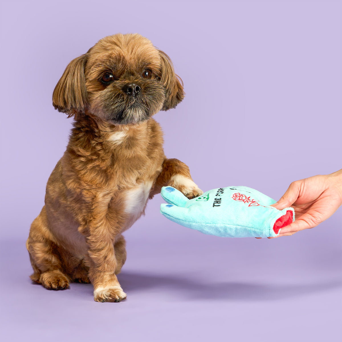 A small brown dog raising its paw toward a Lost Hand toy held out by a person.