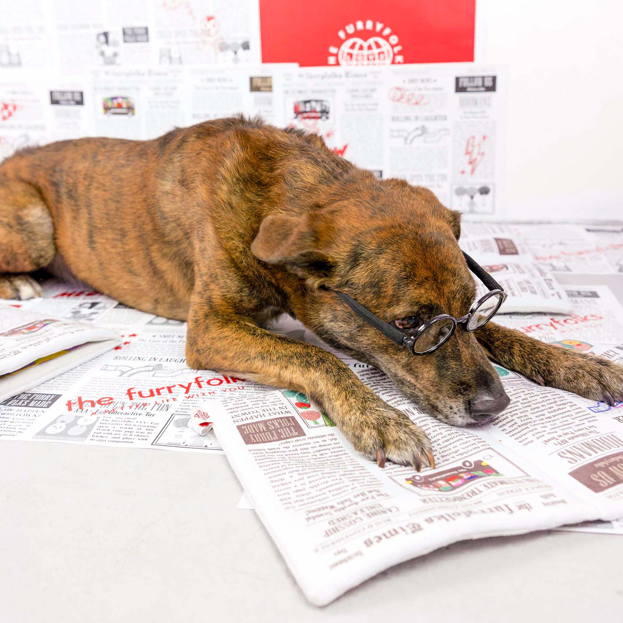 A brindle dog lies on the floor wearing glasses, resting its head on a newspaper-themed toy. The setting includes more newspaper prints in the background, giving a quirky and intellectual vibe.