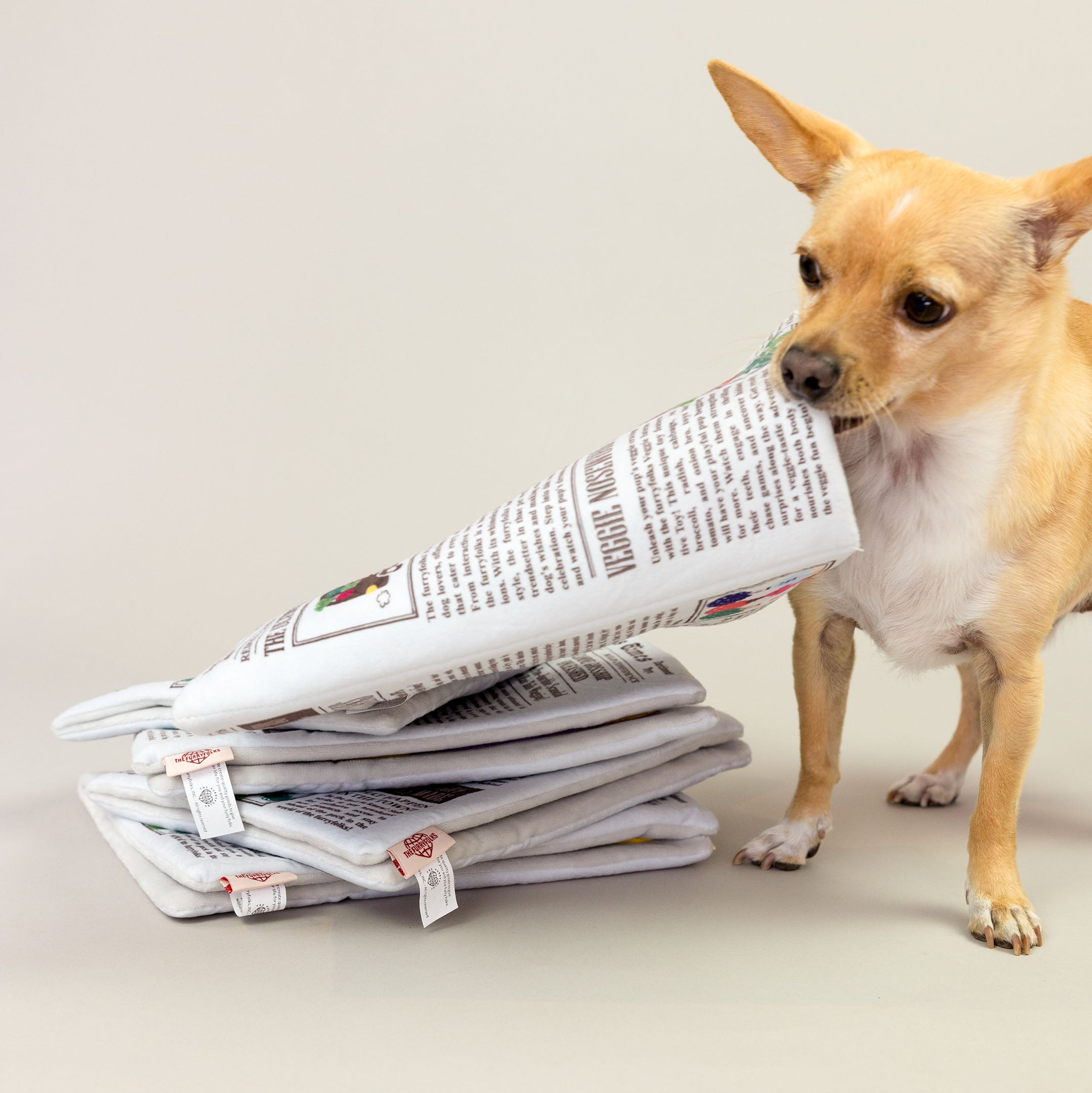 A Chihuahua bites down on the edge of a newspaper-themed dog toy while standing beside a stack of similar toys, showing playful engagement with the product.