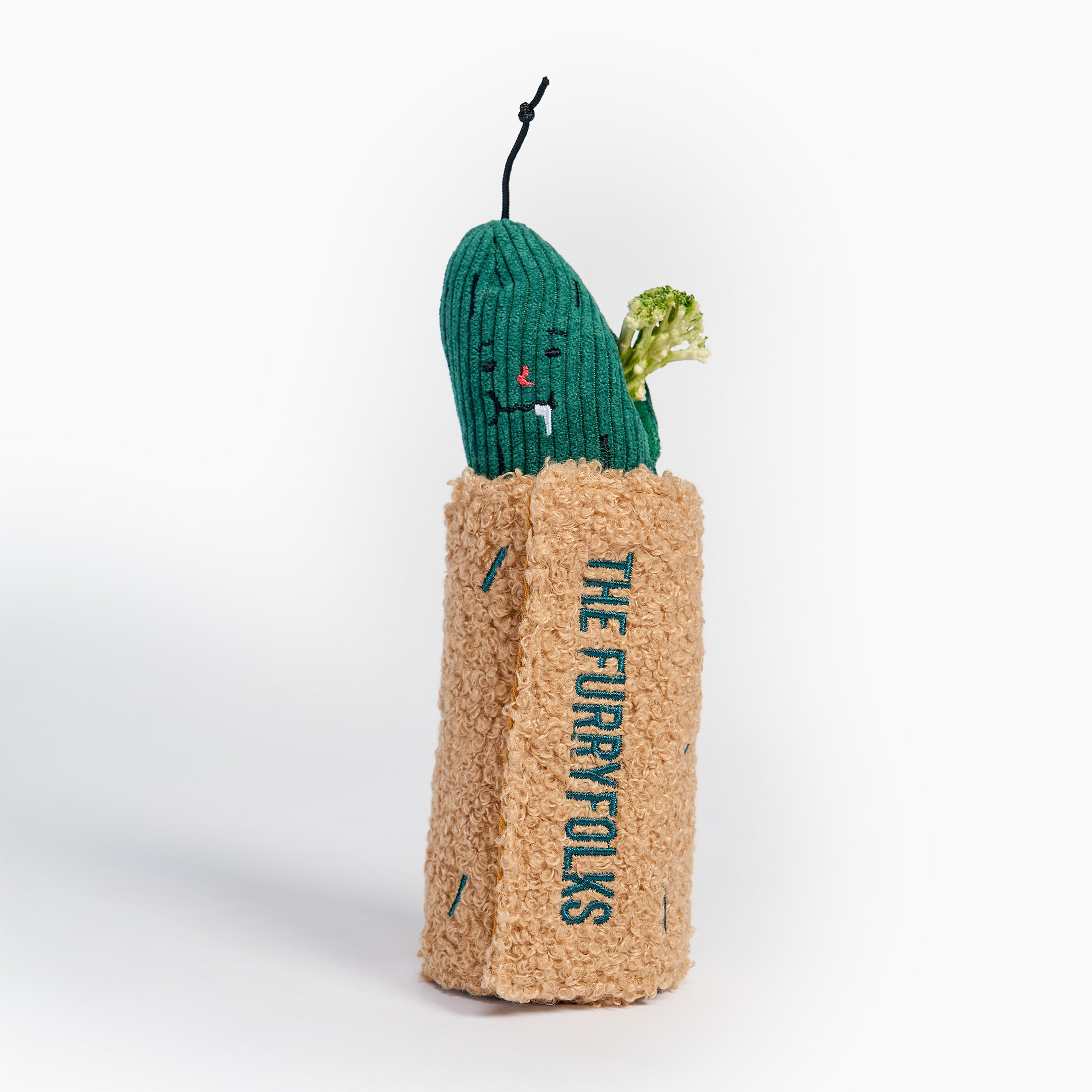 A novelty dog toy shaped like a cactus wrapped in a tan coir-style sleeve with the words 'THE FURRYFOLKS' printed vertically in teal. The cactus top is dark green with embroidered facial features, and a small green leaf detail sticks out from the side.