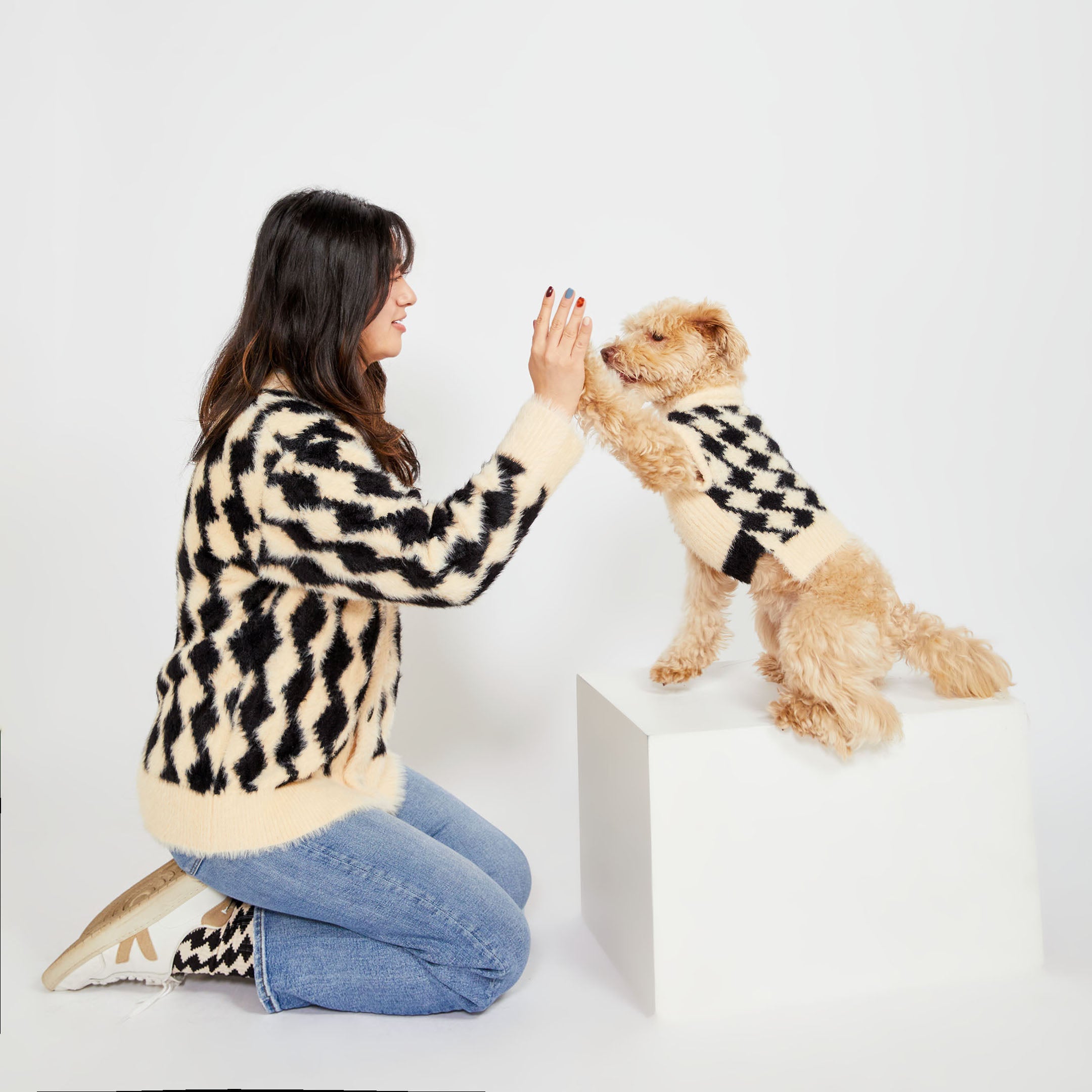 A woman kneeling on the floor high-fiving a small beige dog who is standing on a white block. Both are wearing matching cream and black diamond-patterned sweaters.