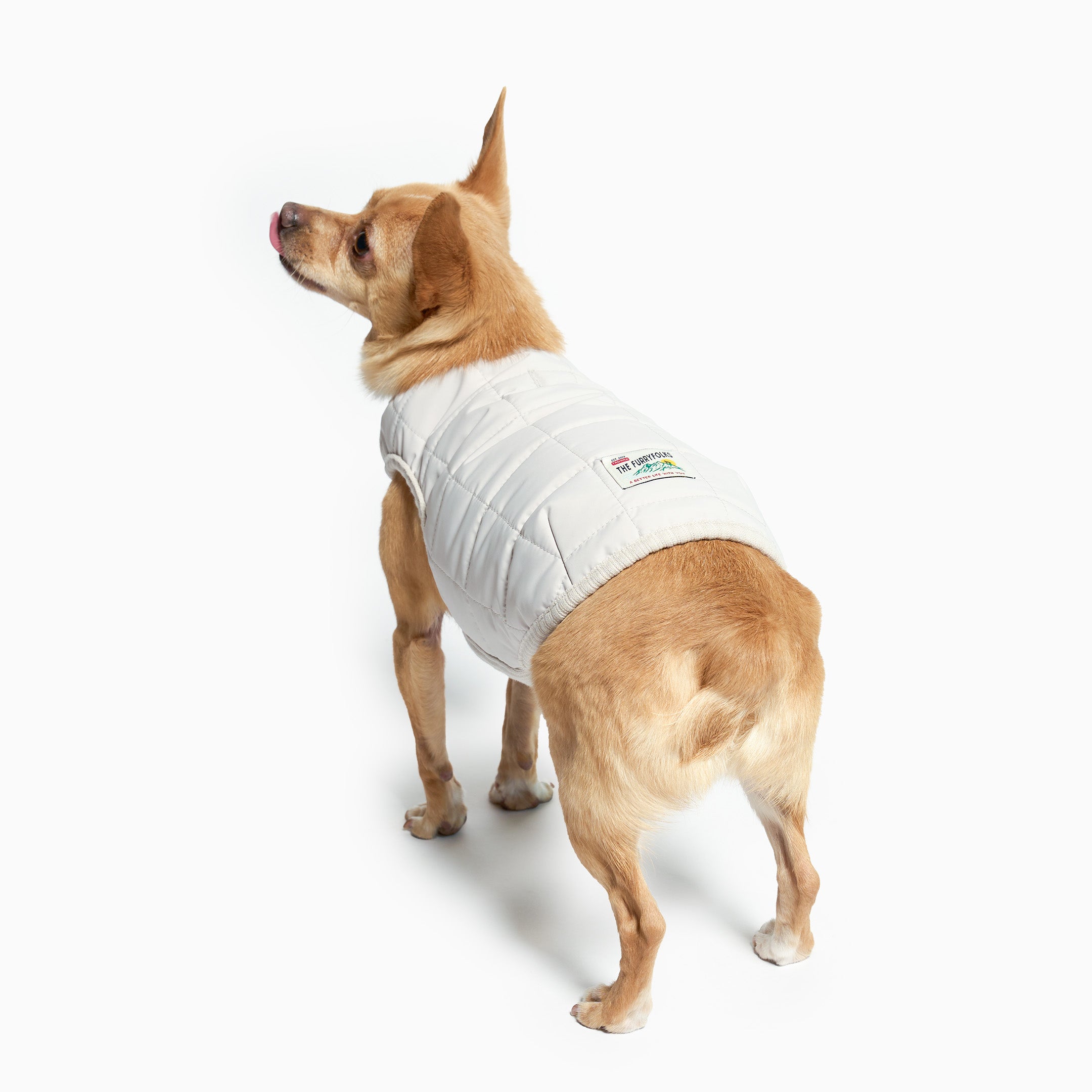 Reversible Puffer Vest for Dogs – Gray | the furryfolks