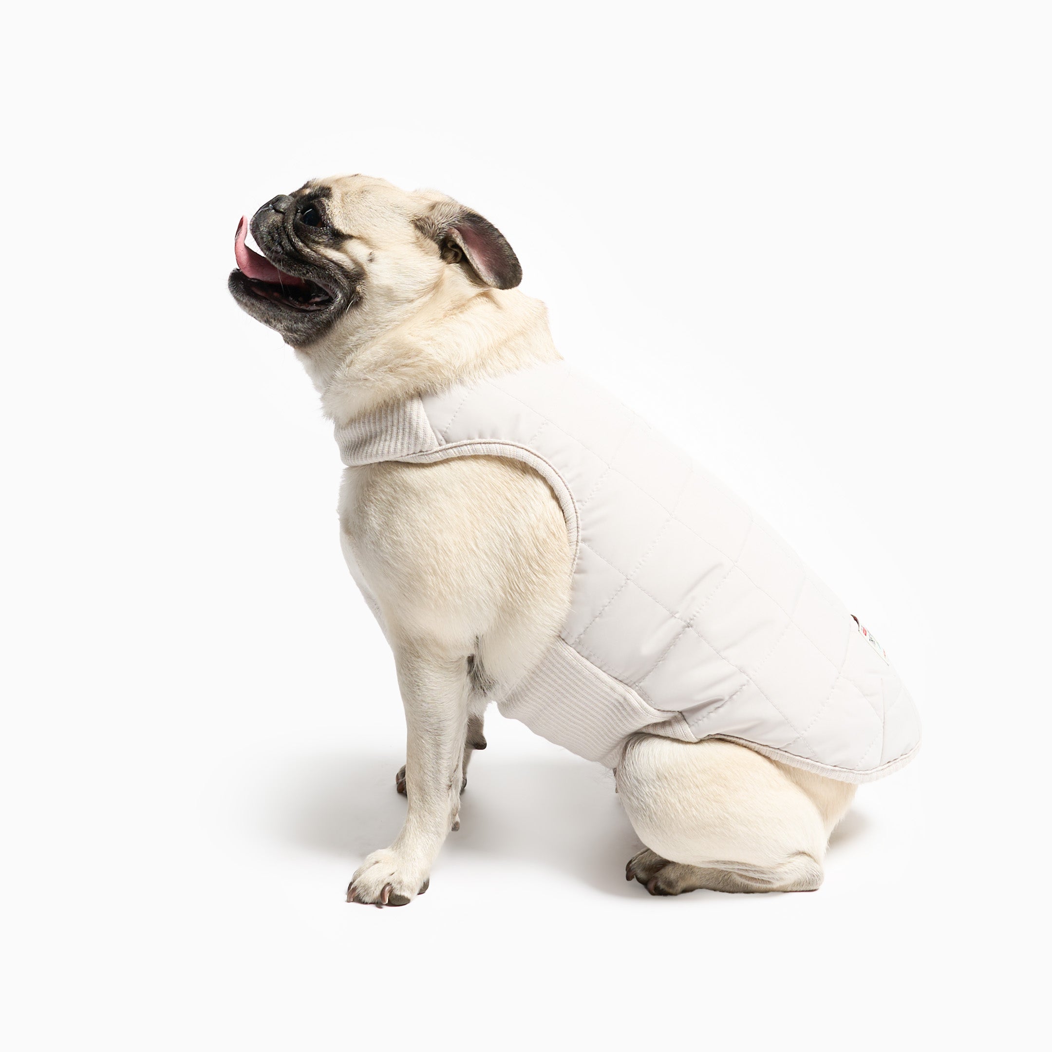 Reversible Puffer Vest for Dogs – Gray | the furryfolks
