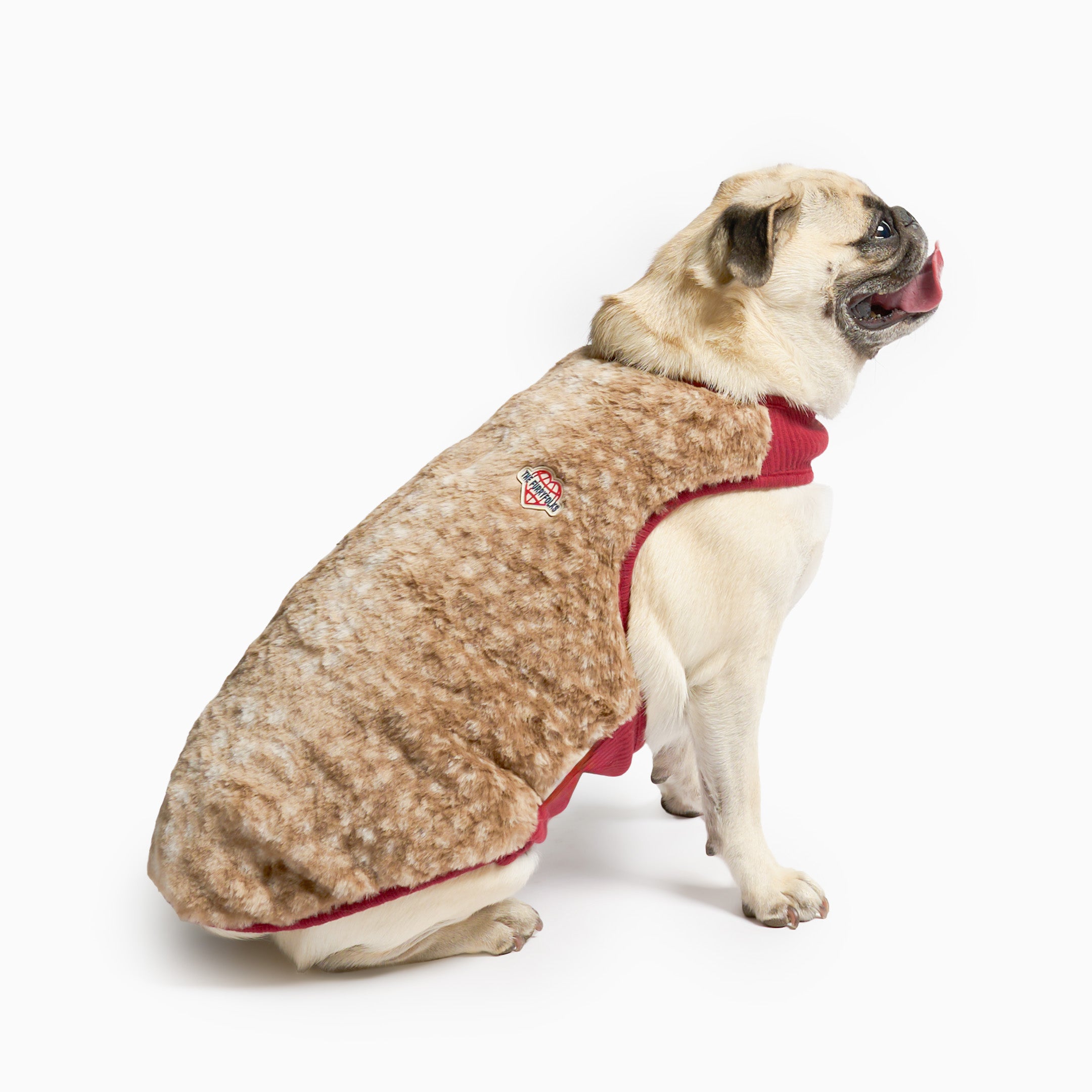 Pug wearing a red sweater on a white background