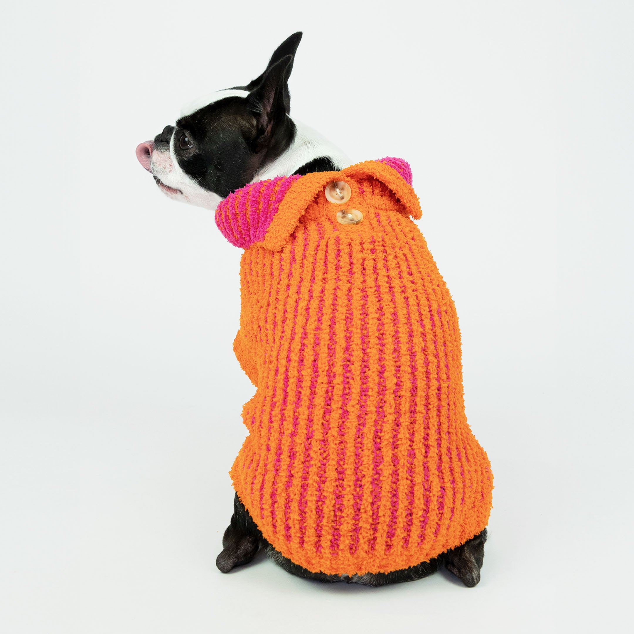 Small dog sitting and wearing a bright orange knit sweater with pink stripes and a collar, featuring a button detail. This colorful and cozy sweater adds both warmth and a fun pop of style to your furry friend's outfit.