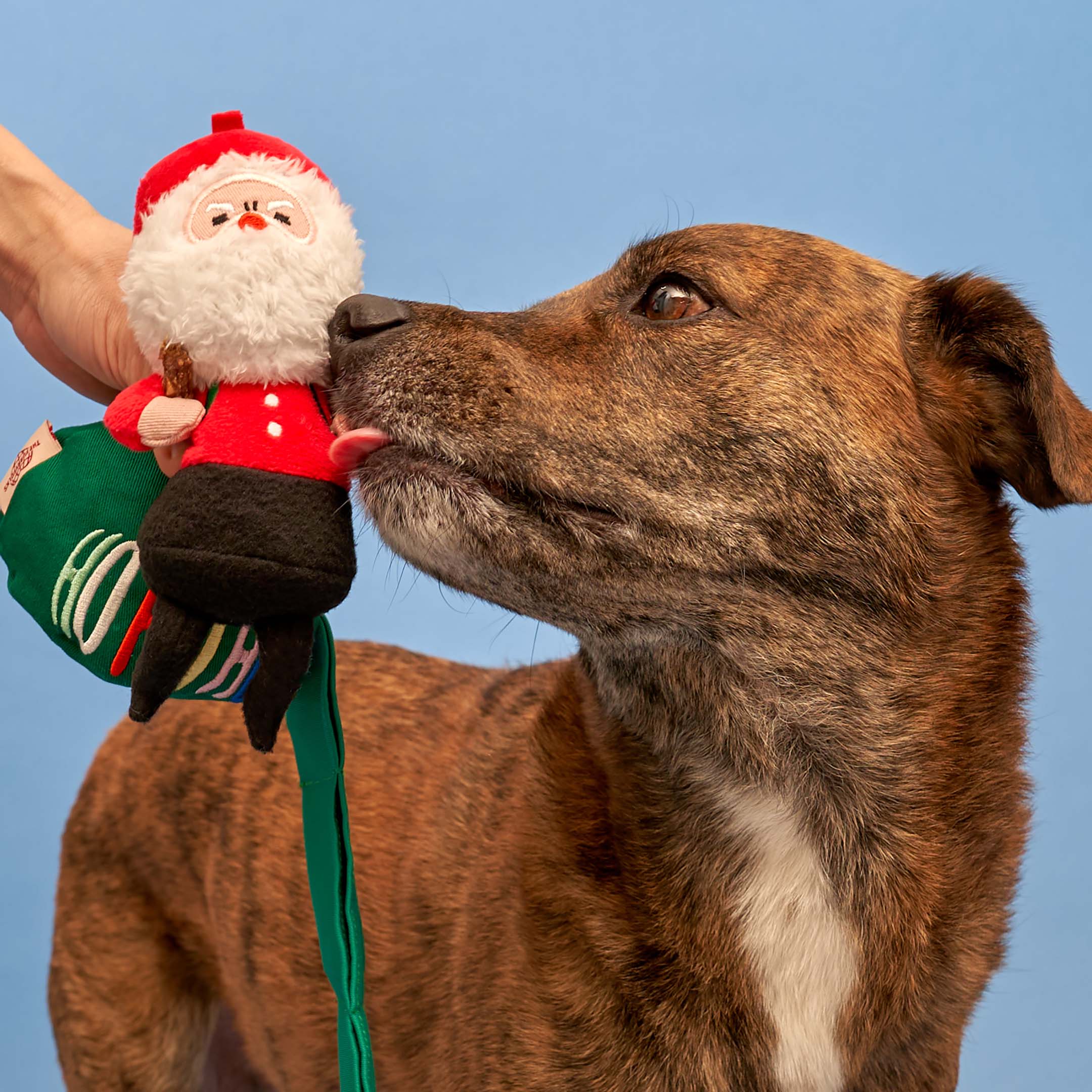 A colorful and interactive holiday toy for dogs, featuring Santa Paws and festive decorations.