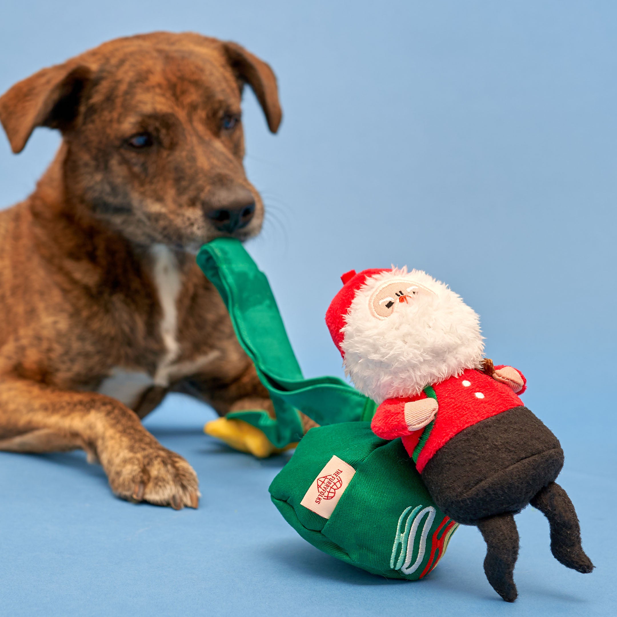 A colorful and interactive holiday toy for dogs, featuring Santa Paws and festive decorations.