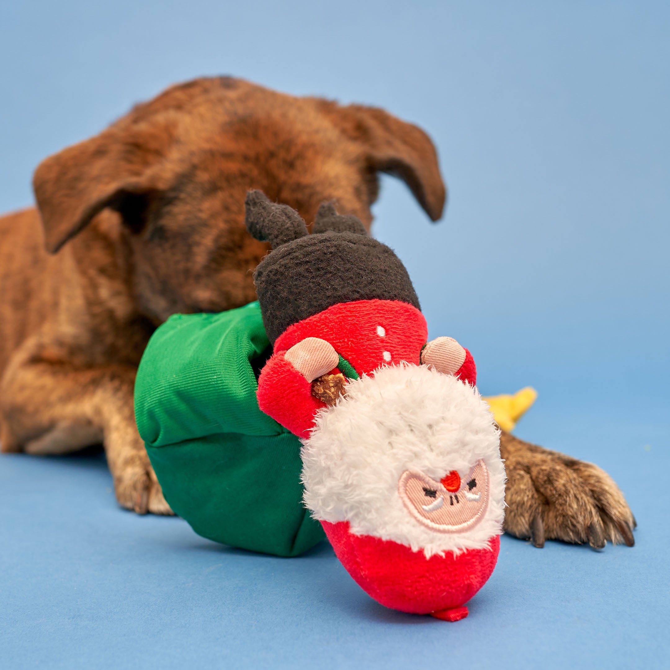 A colorful and interactive holiday toy for dogs, featuring Santa Paws and festive decorations.