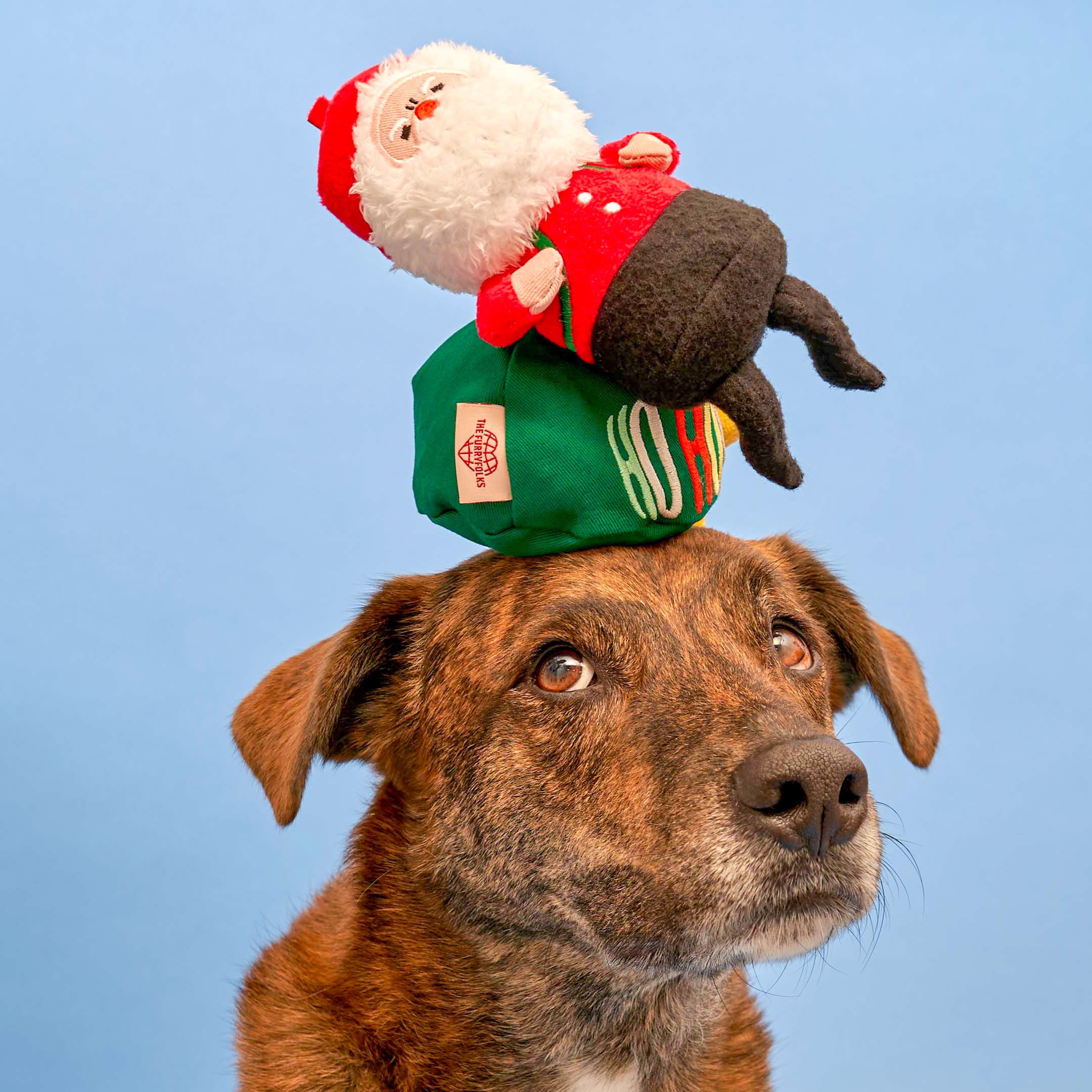 A colorful and interactive holiday toy for dogs, featuring Santa Paws and festive decorations.