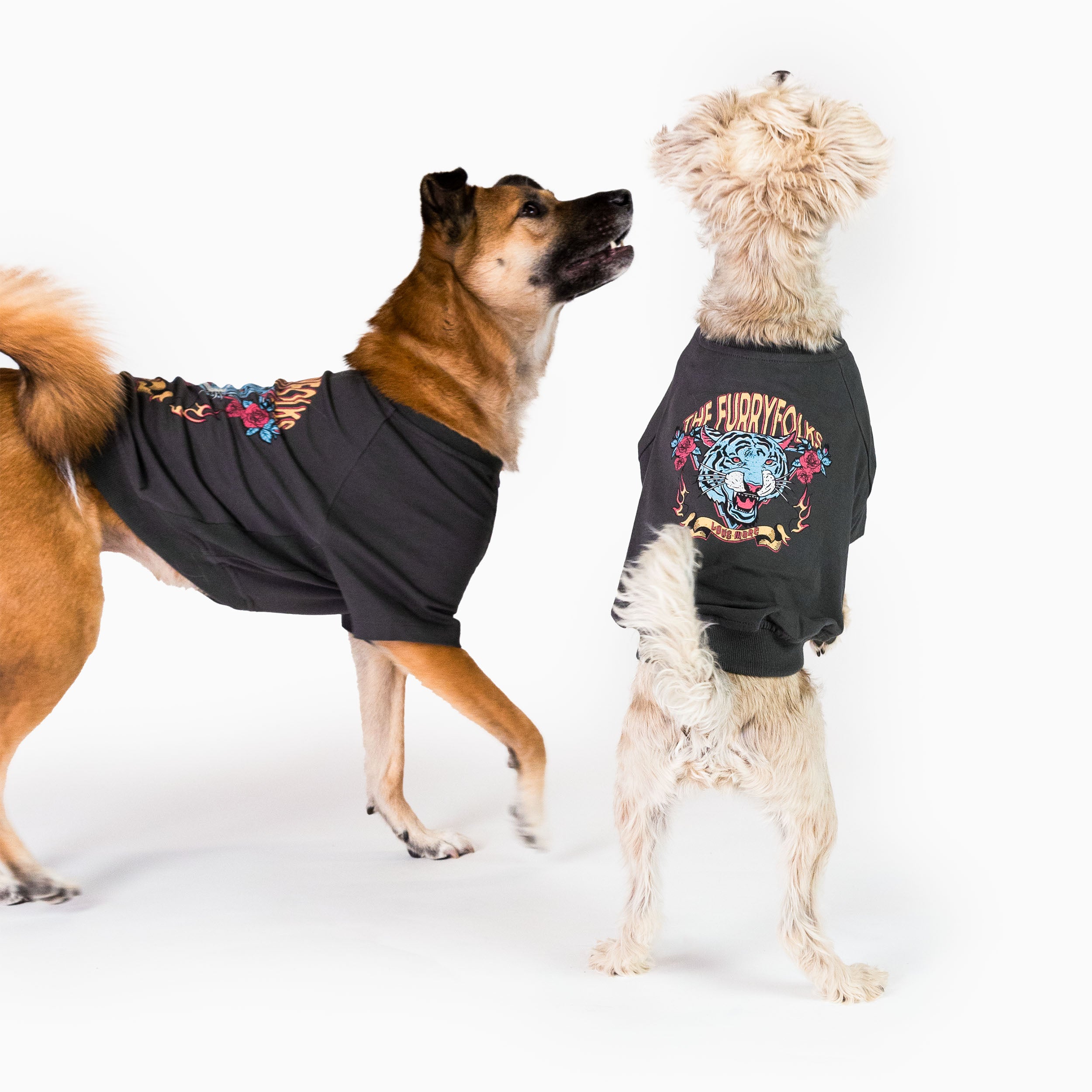 Two dogs wearing oversized tiger-themed graphic tees from The Furryfolks. One dog stands on its hind legs, showing the bold tiger design and playful woven patch, while the other strikes a side pose, highlighting the trendy fit and ribbed panels.