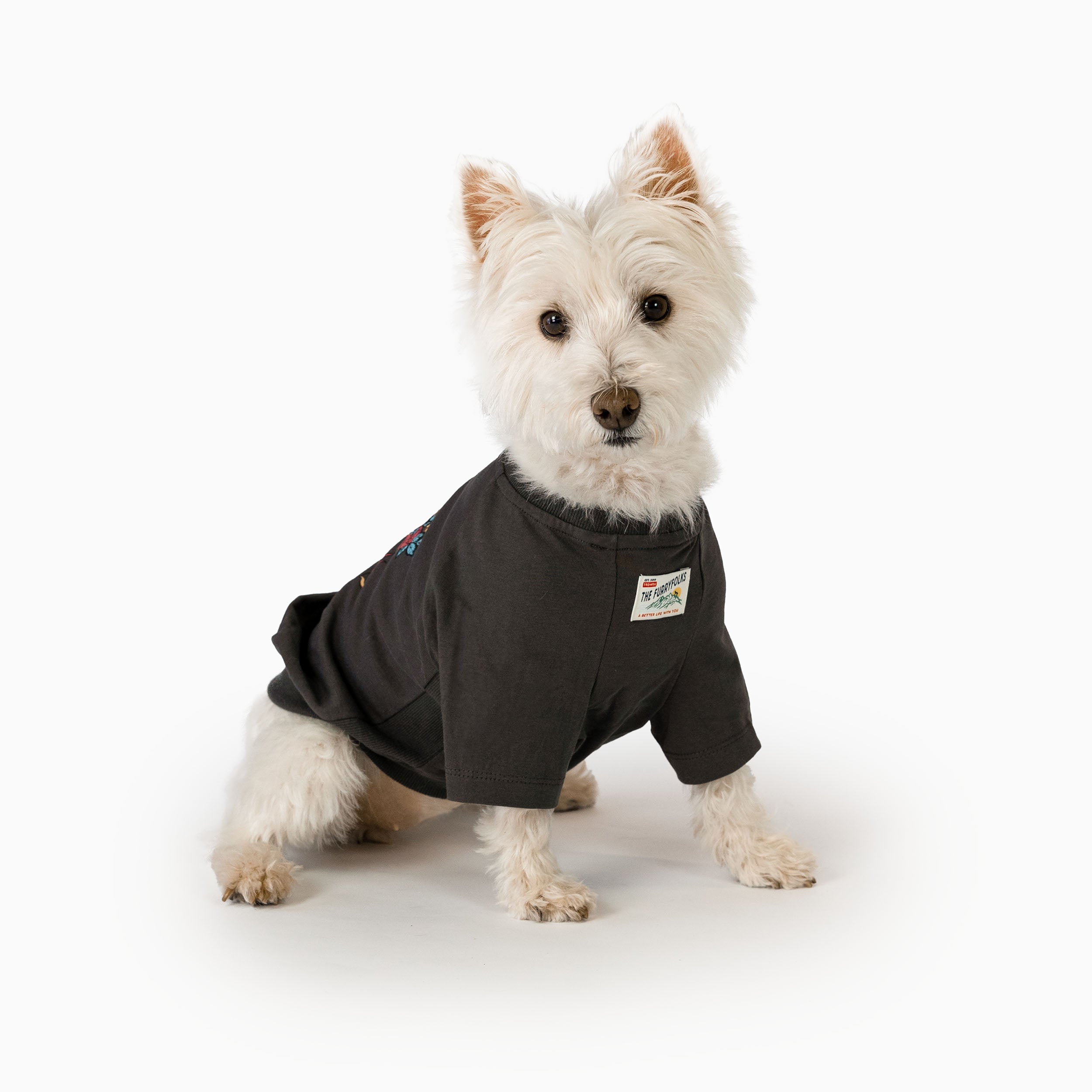 A white dog sitting and wearing an oversized tiger-themed graphic tee from the furryfolks. The tee features a colorful woven patch on the front, showcasing a trendy and comfortable design for furry pals.