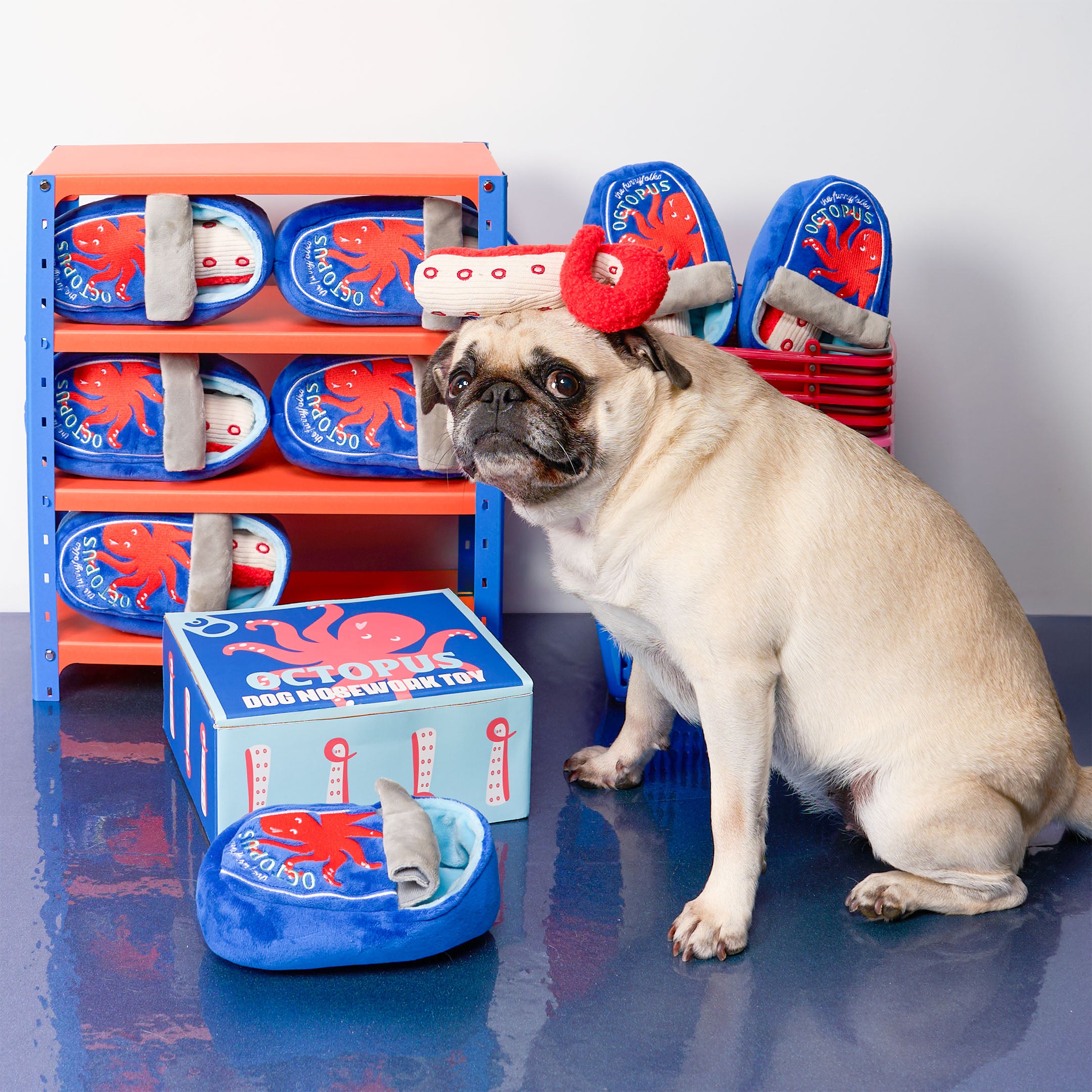 A fawn pug sits on a glossy blue floor next to a blue octopus-shaped dog toy and its box, with more octopus dog toys displayed on orange shelves behind it.