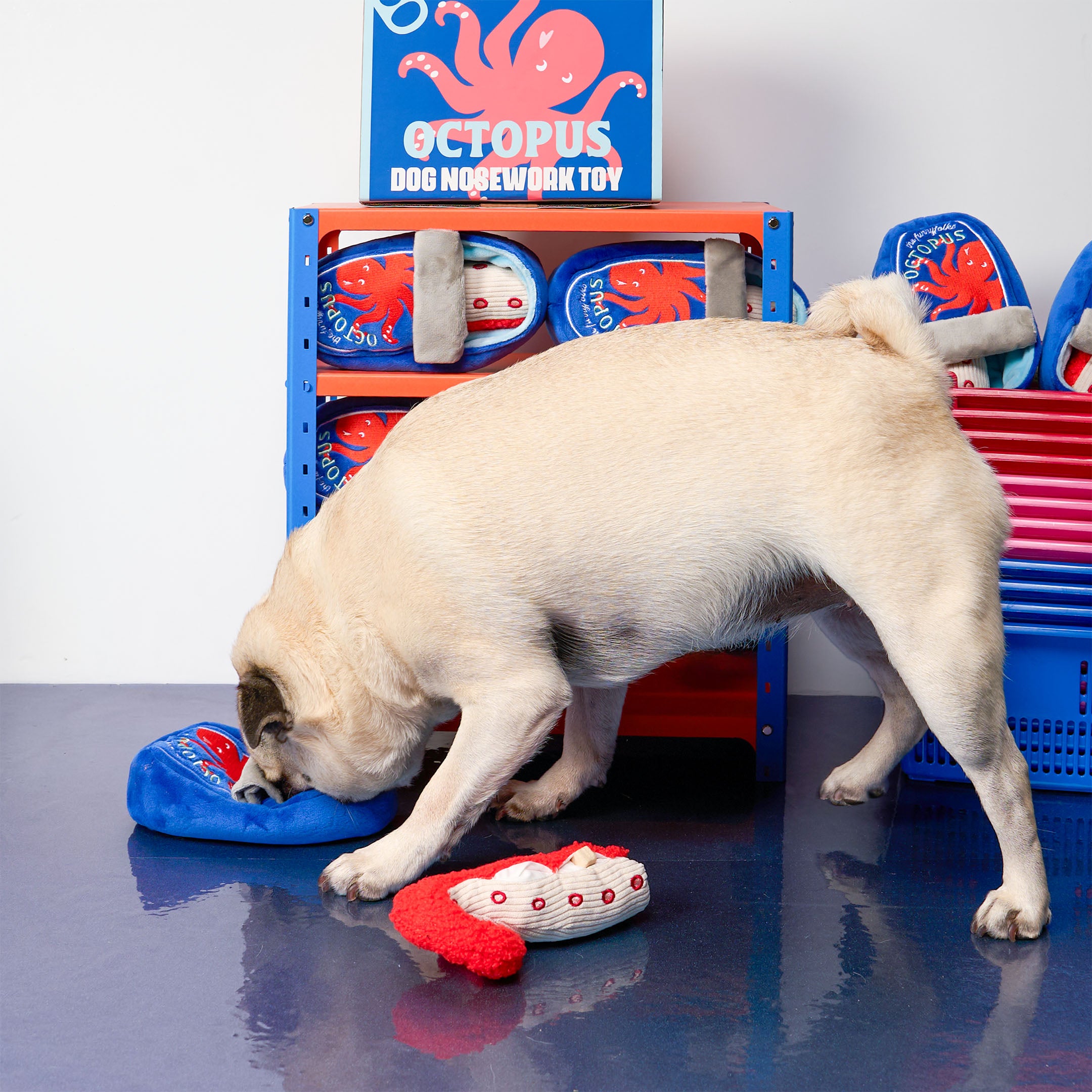 A beige pug dog is sniffing a blue octopus-shaped dog toy on a glossy dark floor, with a red and white plush toy in front of it. A blue shelving unit in the background displays more octopus dog toys, including one with a visible octopus head.