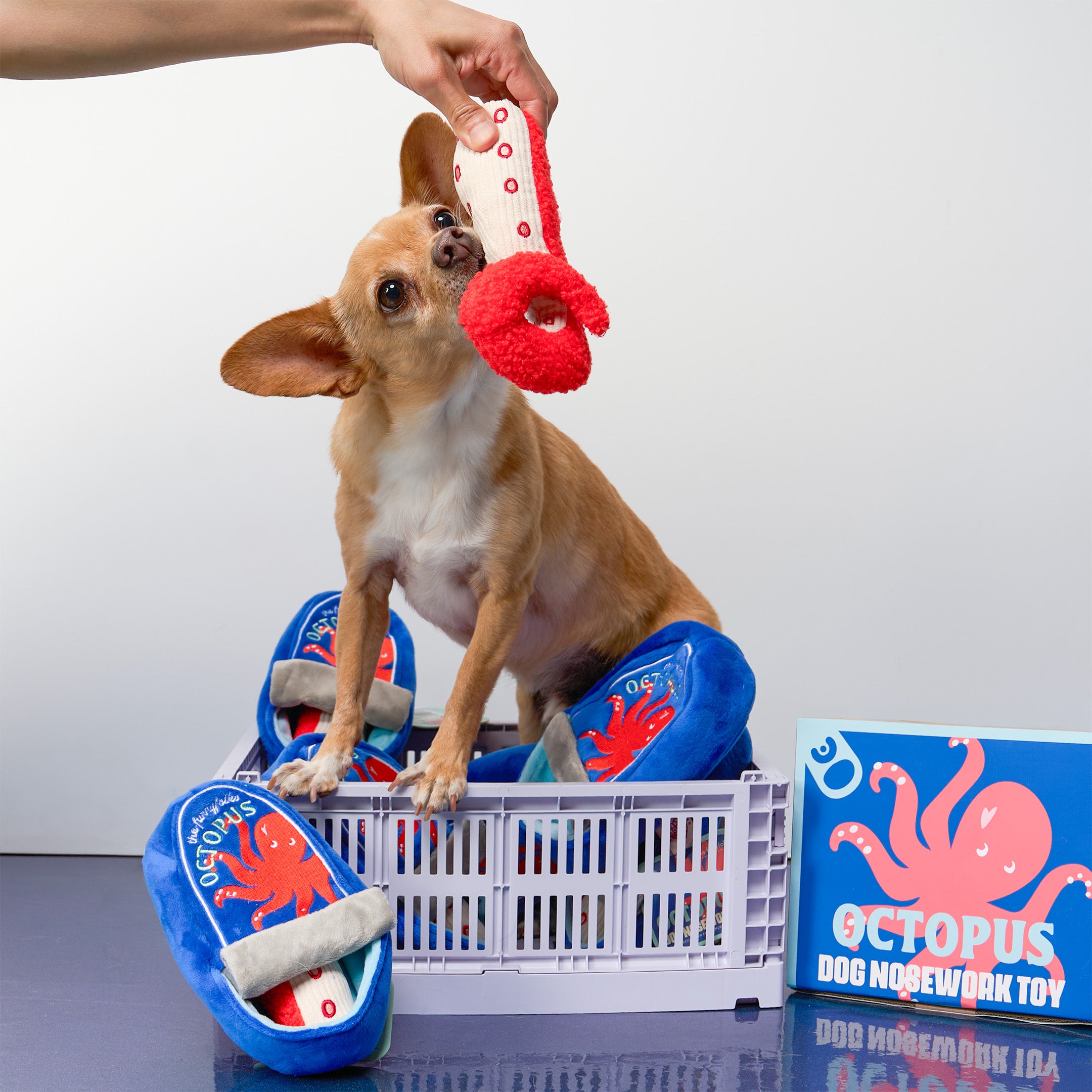 Tinned Octopus Nosework Dog Toy | the furryfolks