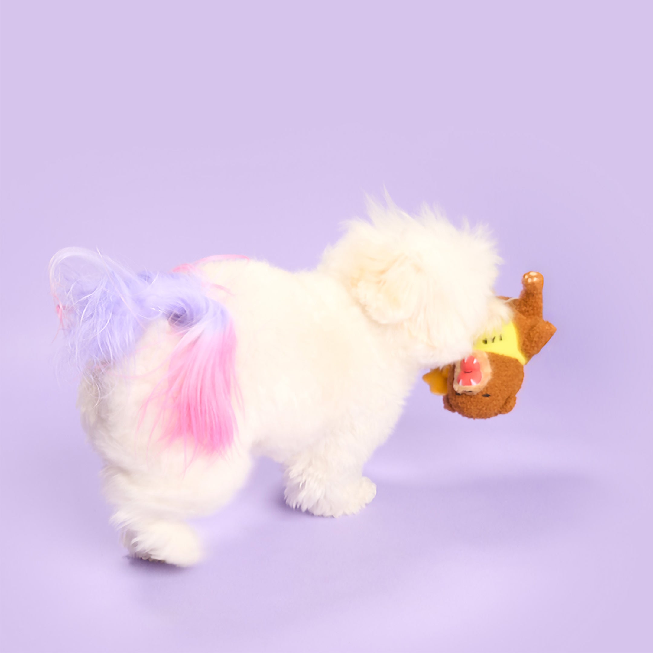 White plush unicorn with rainbow hair on a purple background