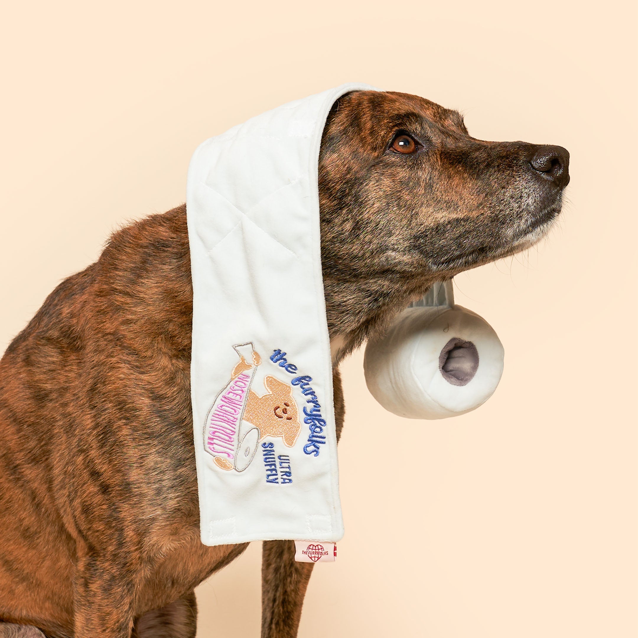 Toilet Paper Nosework Toy
