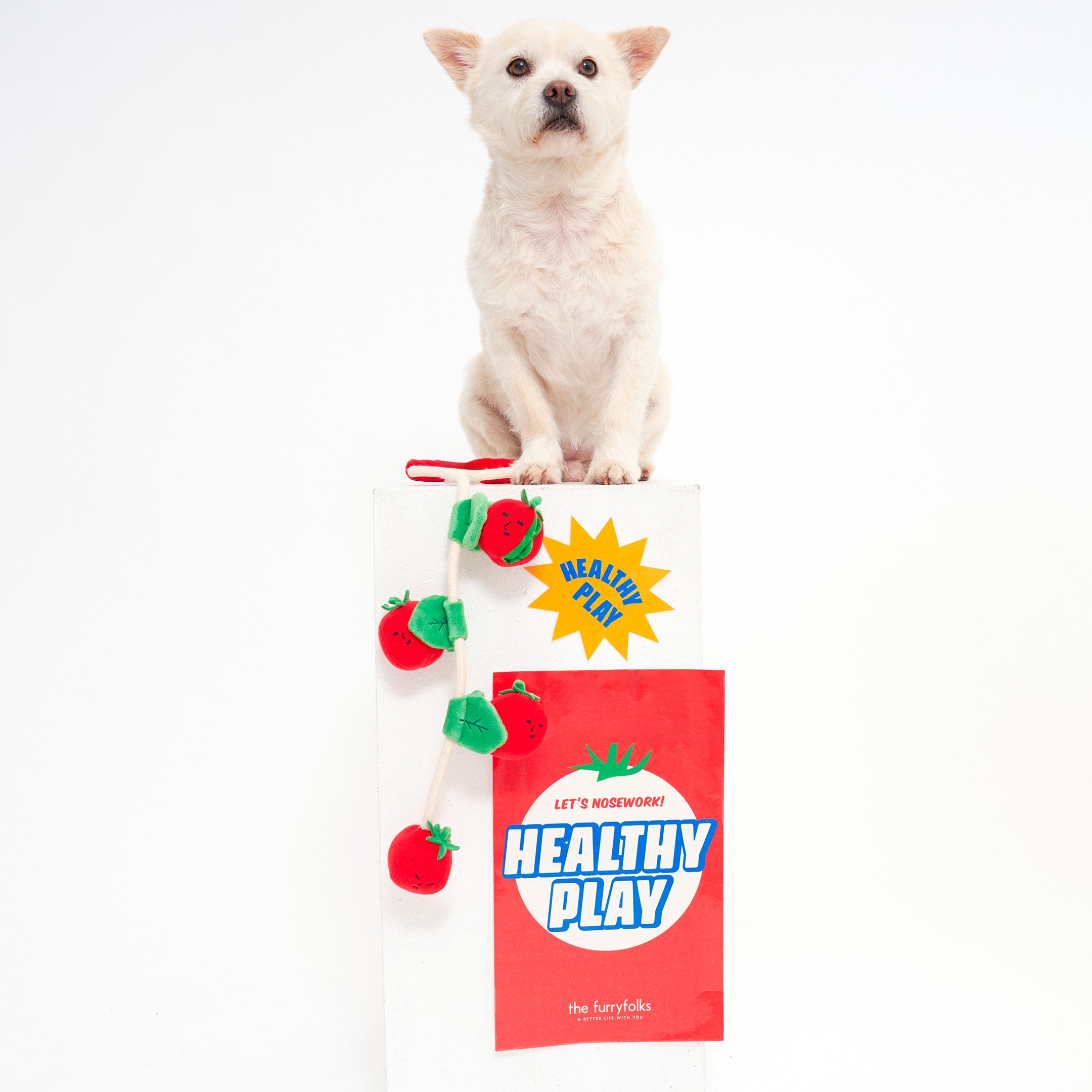 Tomato Dog Toy | Nosework, Fetch & Tug | the furryfolks