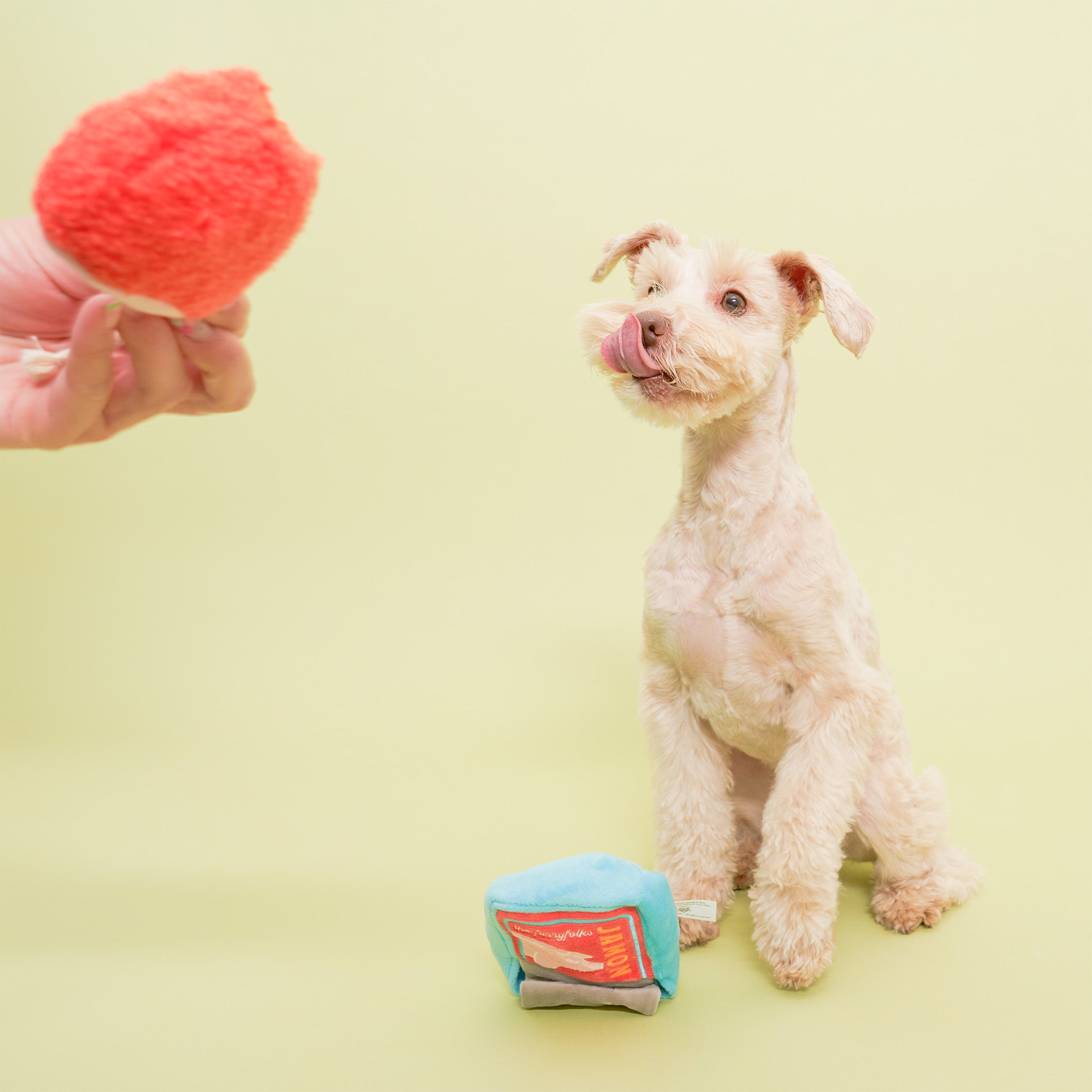 A small, light-colored dog sits on a light green background, licking its lips while looking at a hand holding a red plush ham leg toy. In front of the dog is a blue plush toy shaped like a can of jamón (ham) with a red label that features a pink pig silhouette and the word “JAMÓN” in yellow. The dog’s attention is focused on the ham leg toy being held up.