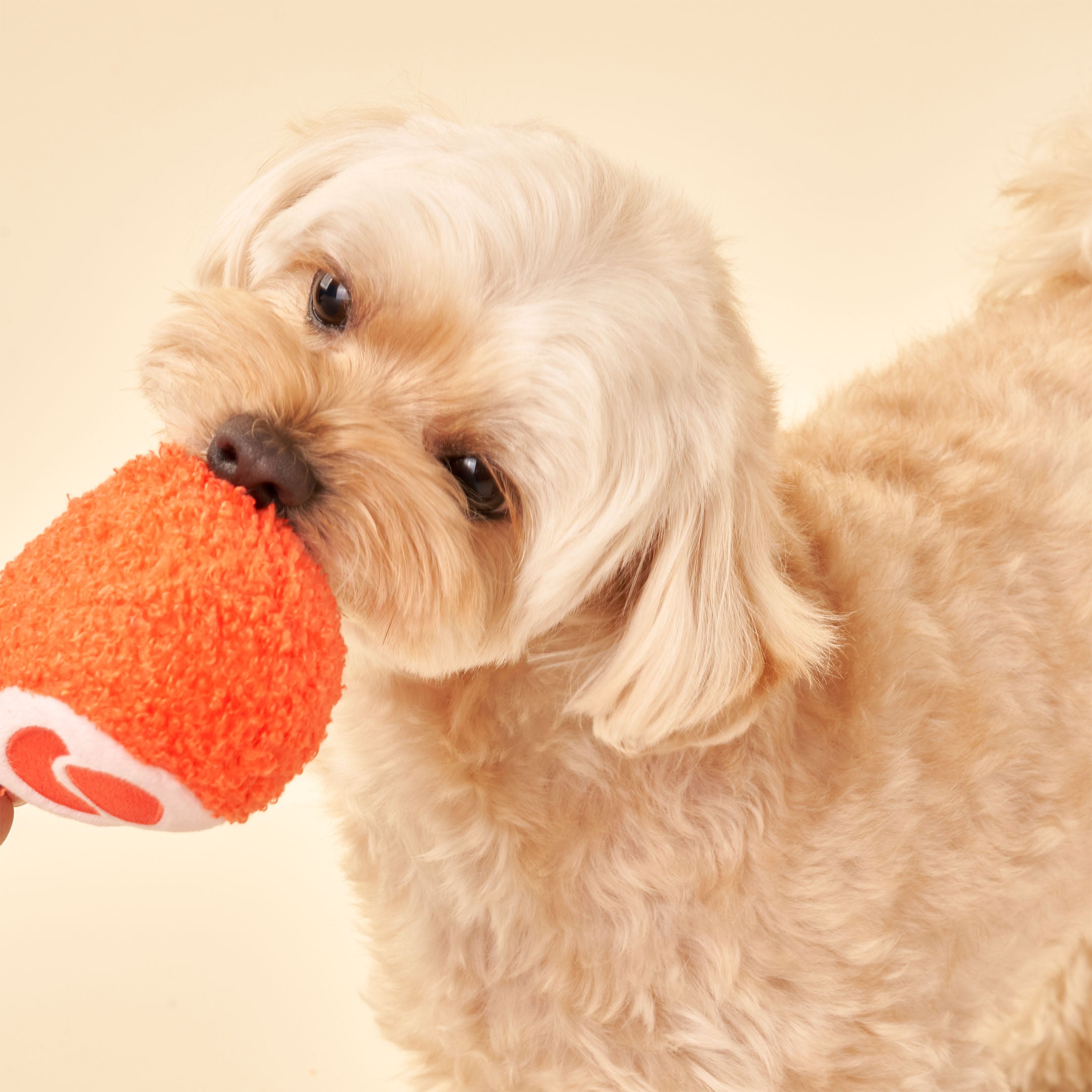 Tinned Jamón Nosework Toy