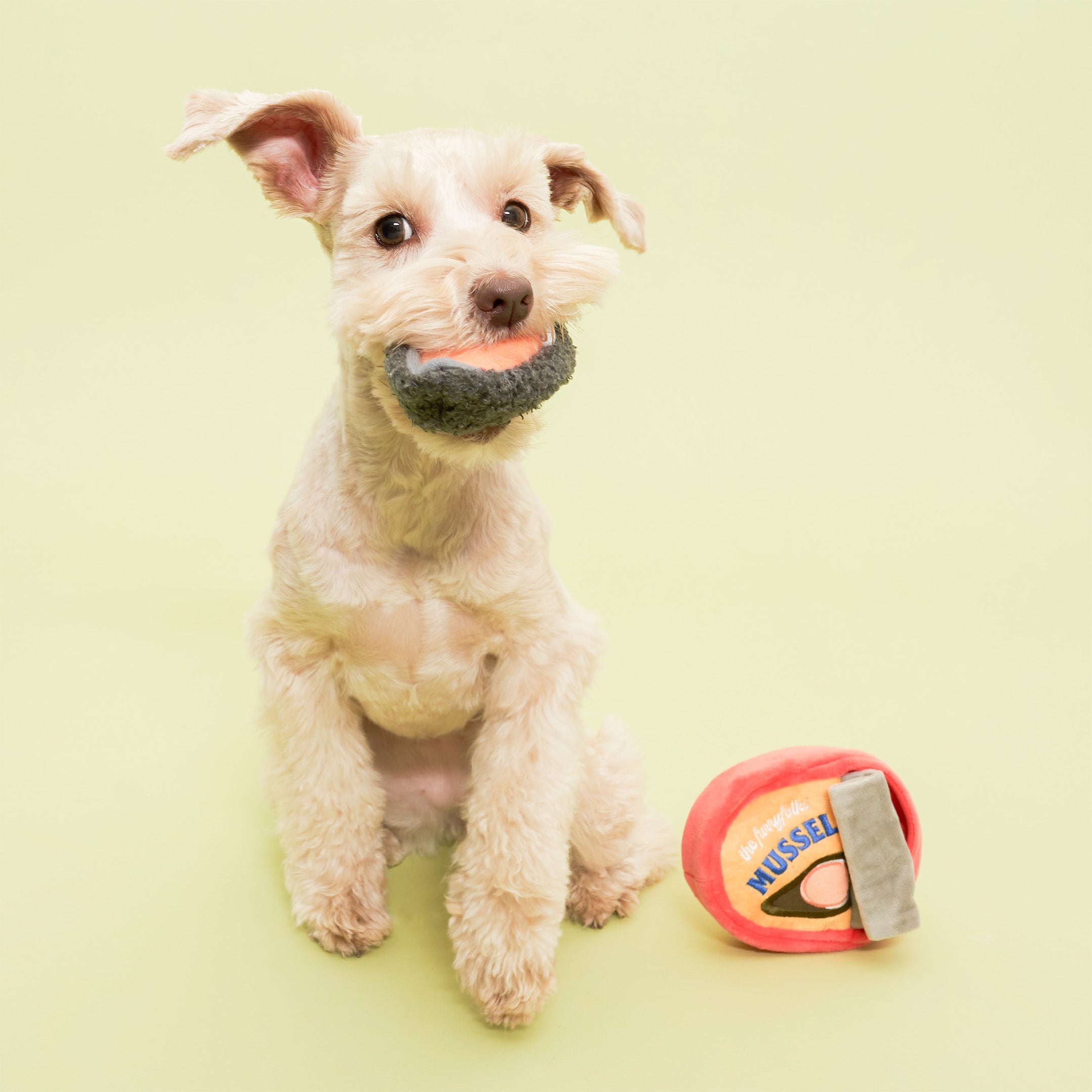 A small, light-colored dog is sitting against a light green background, holding a plush mussel toy in its mouth. The mussel toy is gray with a white and orange interior, mimicking the look of a real mussel. In front of the dog on the ground is a plush toy shaped like a can of mussels, which is red with a yellow label featuring an illustration of a mussel and the word “MUSSEL” in blue letters. The dog appears happy and engaged with the toy.