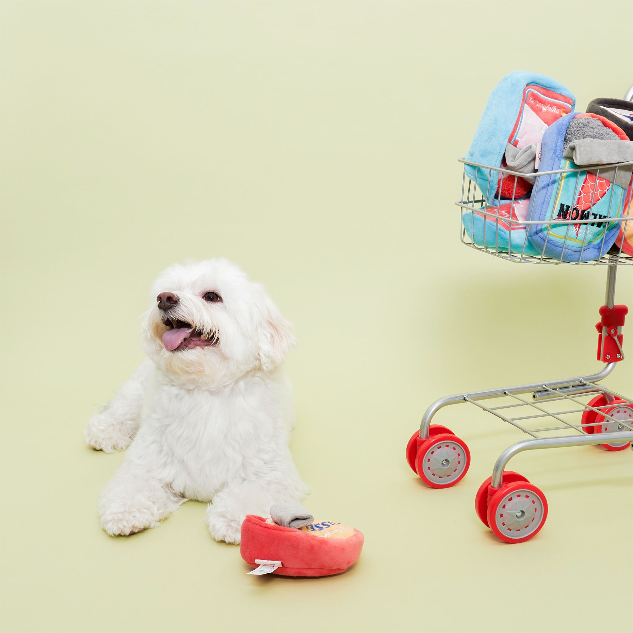 A fluffy white dog is lying down against a light green background, looking happy with its tongue out. In front of the dog is a red plush toy shaped like a can of mussels, with a yellow label featuring the word “MUSSEL” in blue letters. To the right, there is a small wire shopping cart filled with various colorful plush toys designed to look like canned foods. The dog seems content and playful in this setting.