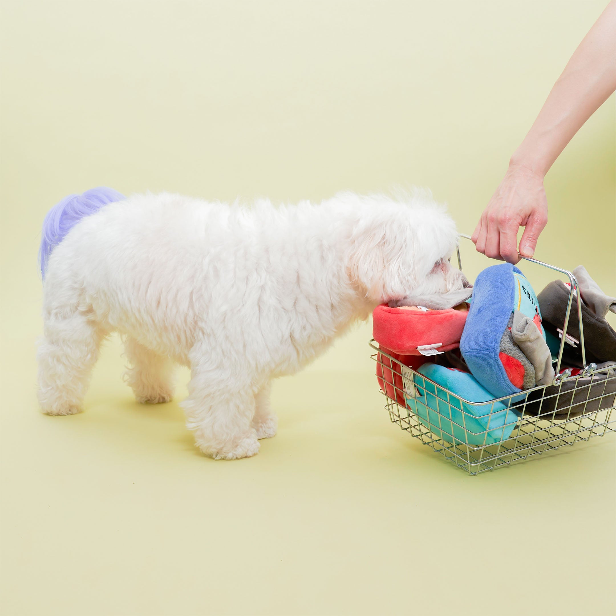 A small, fluffy white dog with a purple-tinted tail is sniffing at a wire basket filled with plush toys. The basket is being held by a person’s hand. The plush toys are designed to look like various canned foods, featuring colorful labels and different shapes. The scene is set against a light yellow background.