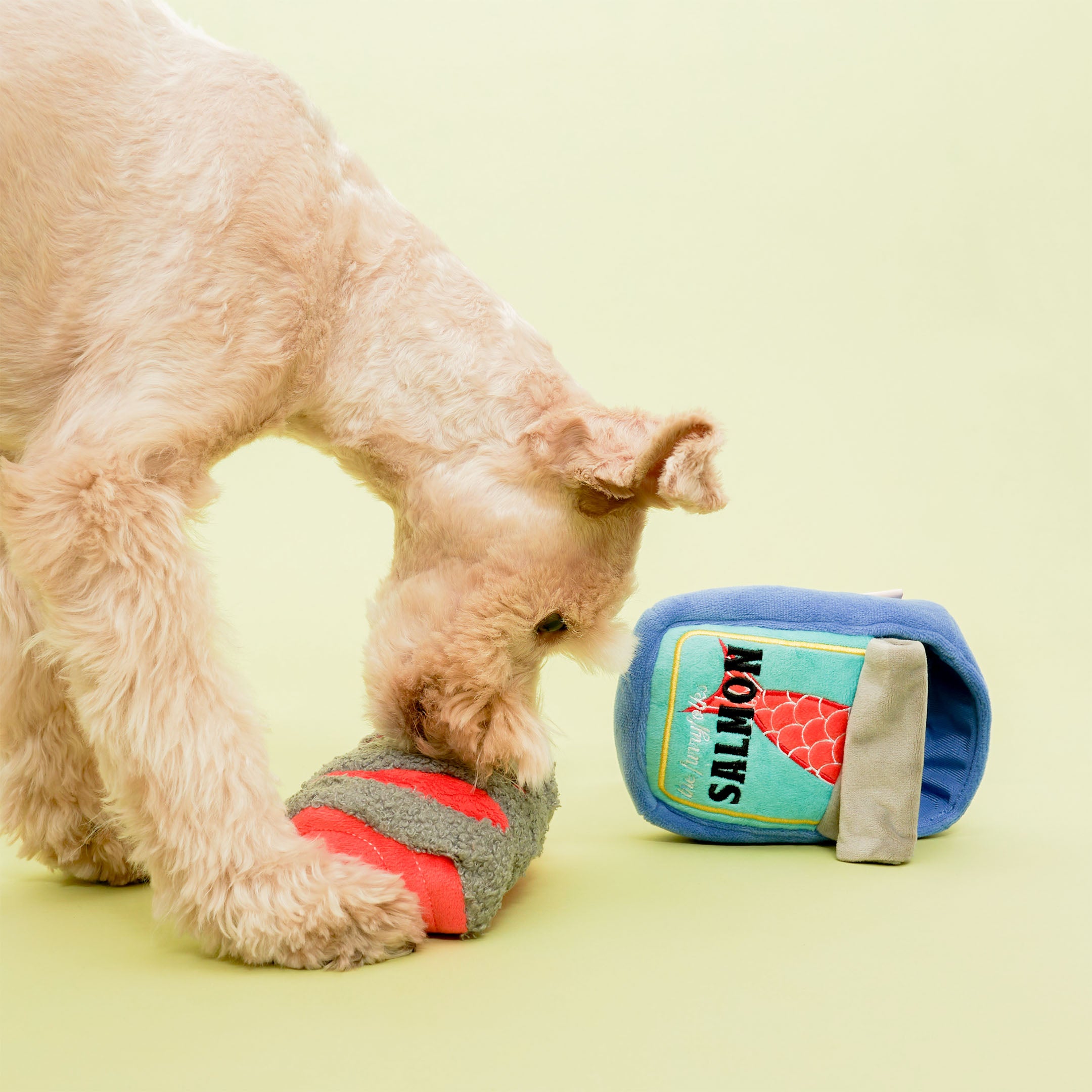 A small, light-colored dog is bent over, interacting with a blue plush toy shaped like a can of salmon on a light green background. The can toy has a label with a red fish tail and the word “SALMON.” The dog is sniffing or playing with the toy, appearing focused and engaged.