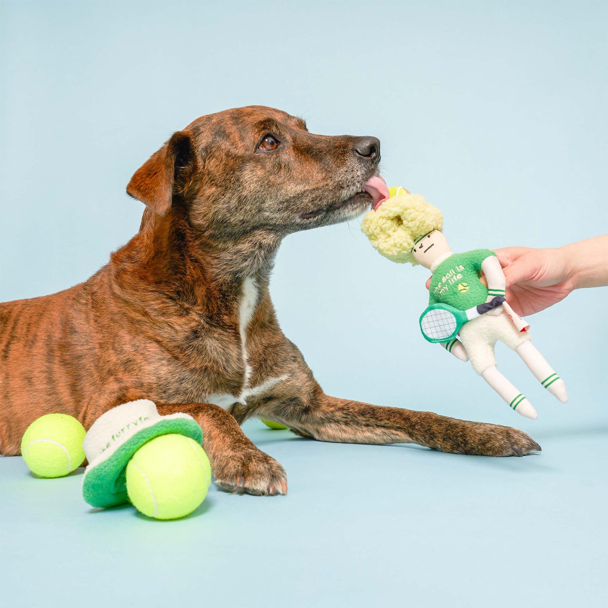 The brindle dog is lying down on a light blue background, playfully biting a plush toy held by a human hand. The toy is styled as a tennis player with a green hat decorated with a tennis ball, a green sweater emblazoned with "the ball is my life," and a white tennis racket. Beside the dog are three plush tennis balls labeled "the furryfolks" on the white bands, echoing the toy theme. The overall setting is playful and colorful.