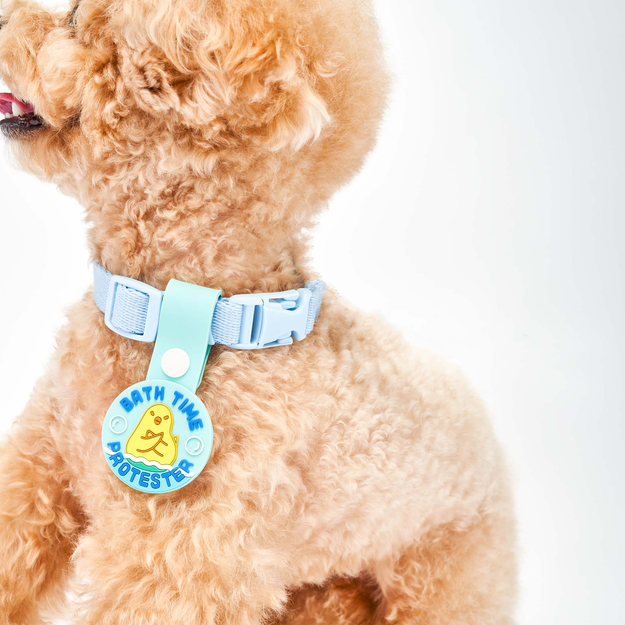 A curly-haired light brown dog wearing a blue collar with a blue dog tag that reads ‘Bath Time Protester.’ The tag features an illustration of a dog crossing its paws in protest, made of non-toxic rubber. The dog is shown from the side, showcasing the tag attached to its collar.