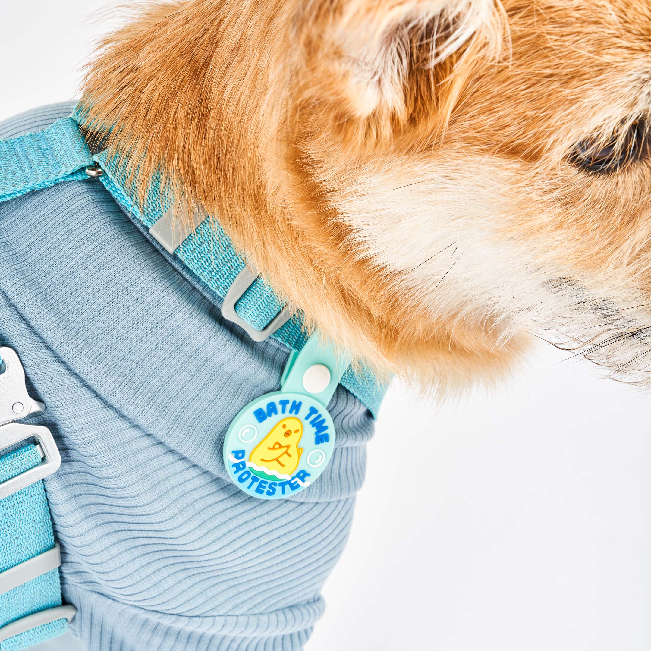 A light brown dog wearing a blue harness and a blue dog tag that reads ‘Bath Time Protester.’ The tag features an illustration of a dog crossing its paws in protest, made of non-toxic rubber. The dog is shown in a close-up profile, showcasing the tag attached to its harness.