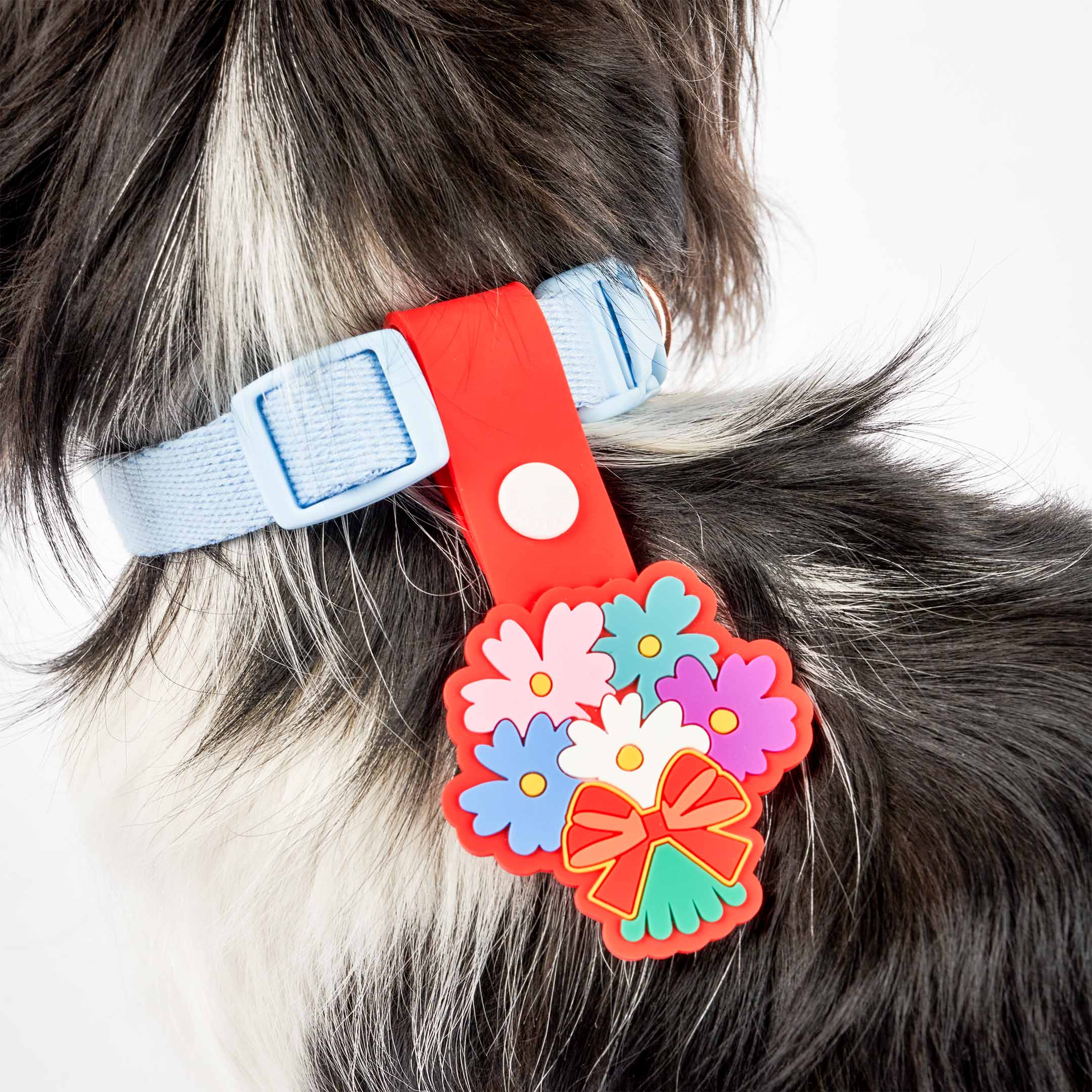 A close-up of a dog’s neck showing a light blue collar with a colorful bouquet-themed tag, featuring vibrant flowers and a red bow.