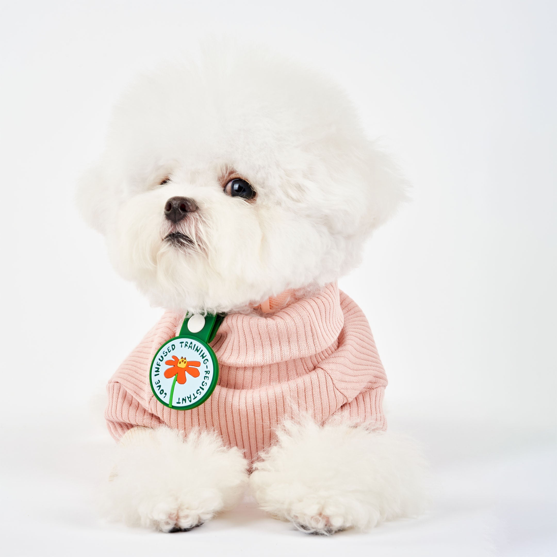 Adorable white fluffy dog wearing a pink sweater, featuring a whimsical dog tag with a red flower at the center. The tag displays the phrase ‘Love Infused Training-Resistant’ and is attached to a green strap with a white button. This charming tag from The Furryfolks’ Daily Clip product line is made from 100% non-toxic rubber, perfect for adding a playful touch to your pet’s accessories.