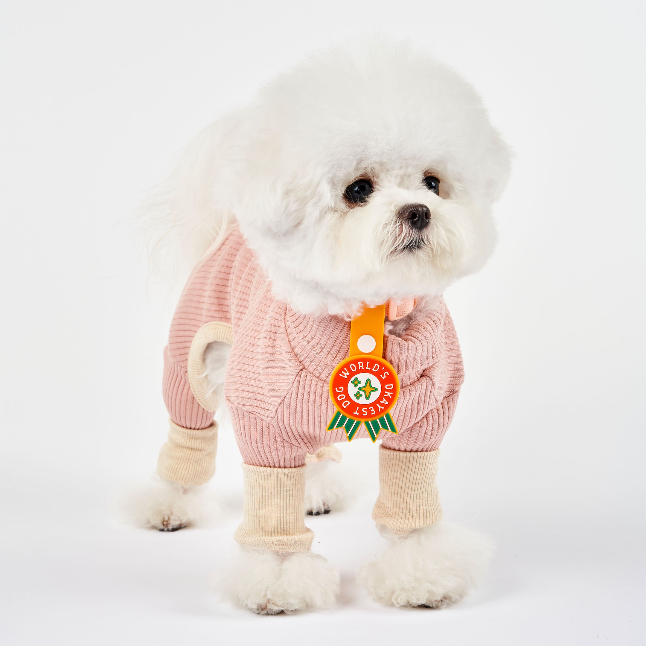 White fluffy dog wearing a pink sweater and an orange collar, featuring a whimsical dog tag with the phrase ‘World’s Okayest Dog’ in bold white text on a red background. The tag has green ribbons at the bottom and is attached to an orange strap with a white button. This playful tag from The Furryfolks’ Daily Clip product line is made from 100% non-toxic rubber, perfect for adding a humorous touch to your pet’s accessories.