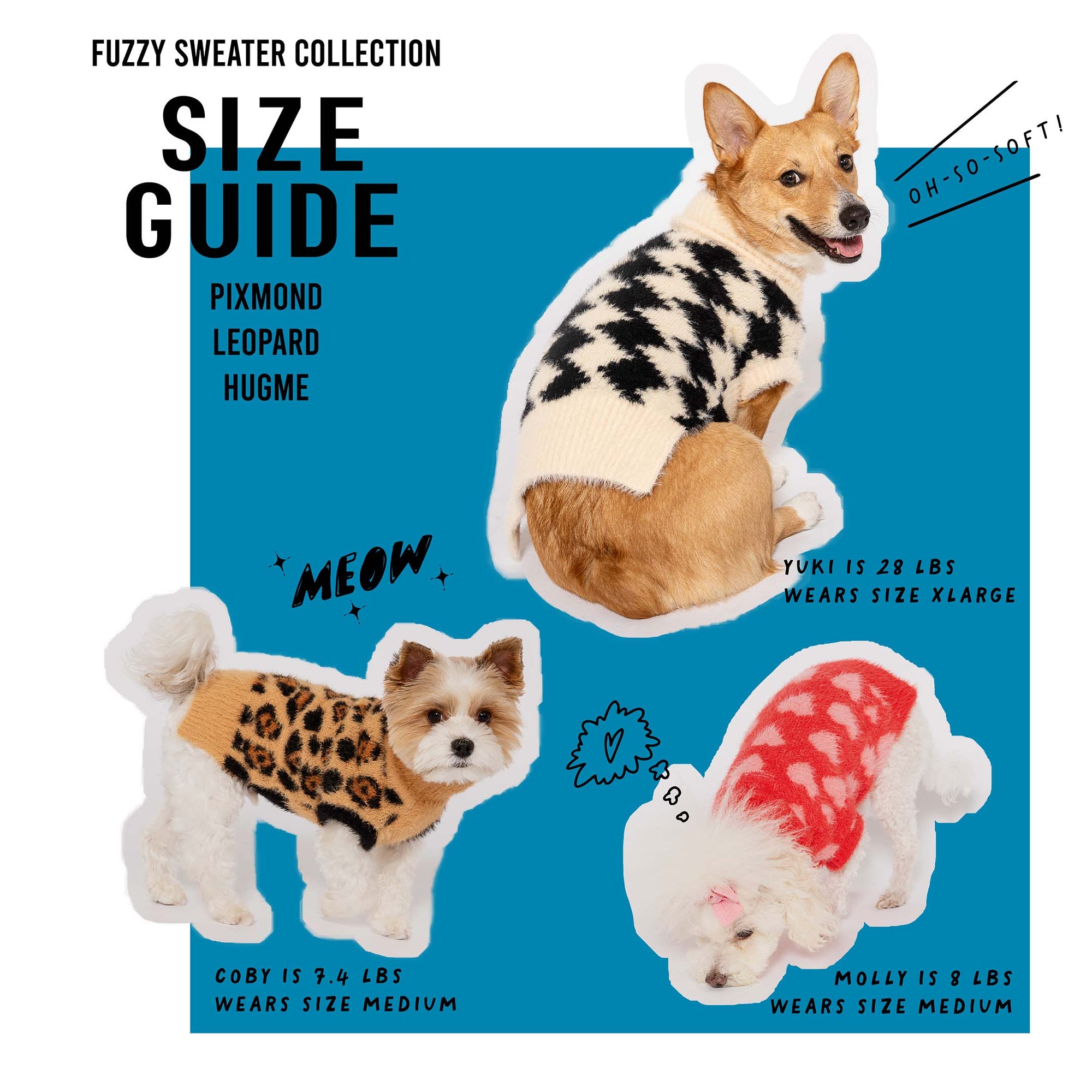 Size guide for dog sweaters featuring three breeds in stylish outfits: a Corgi in XL, a Yorkie in M leopard print, and a Poodle in M
