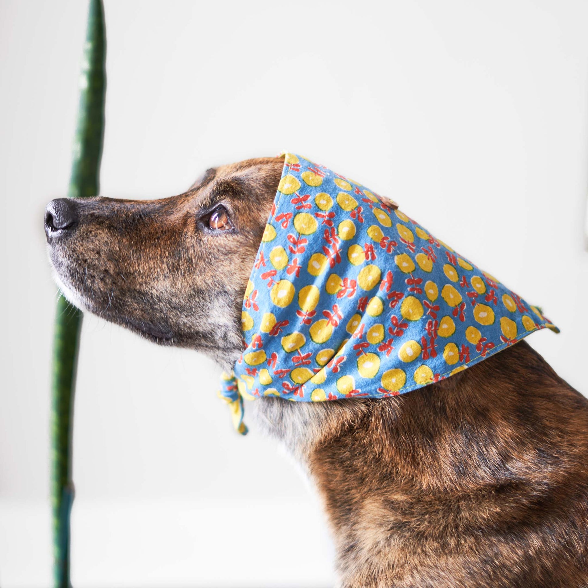 the furryfolks-Floral Bandana