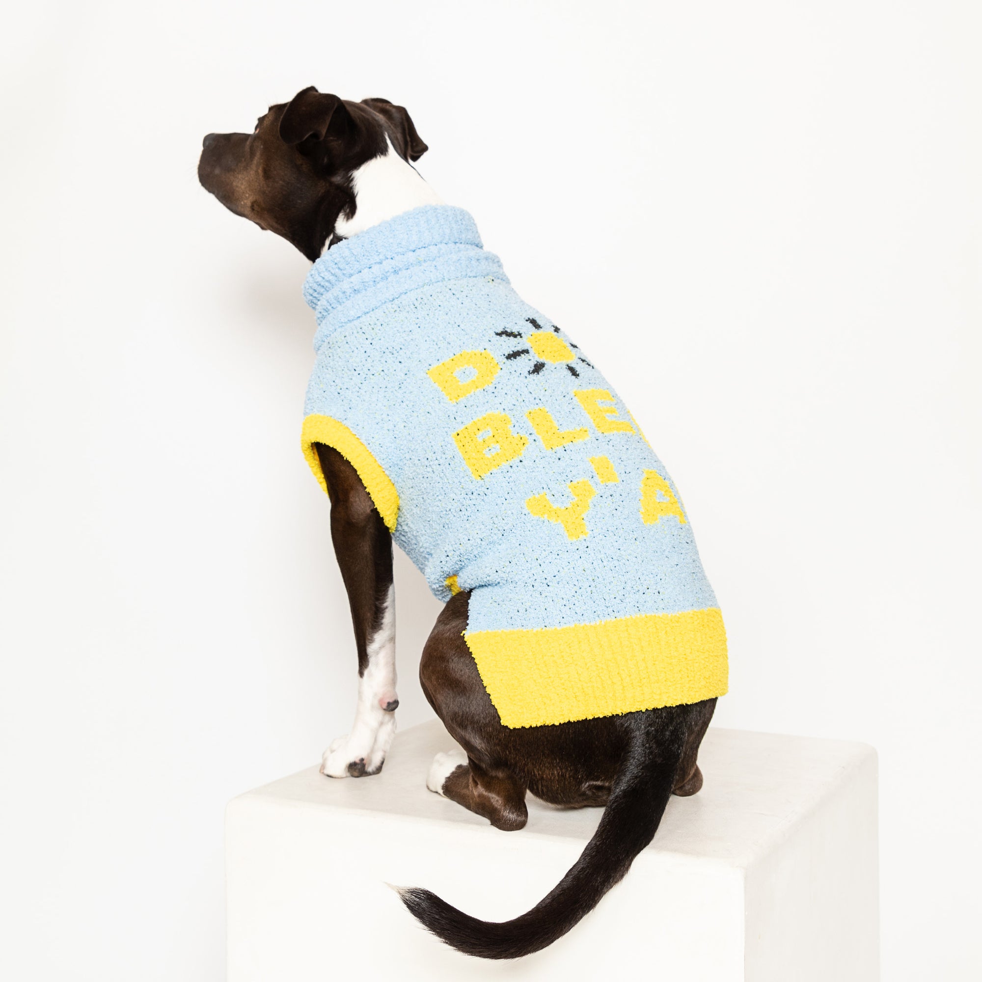 Black dog in a light blue "The Furryfolks" sweater looks away atop a pedestal, with a clean white background.