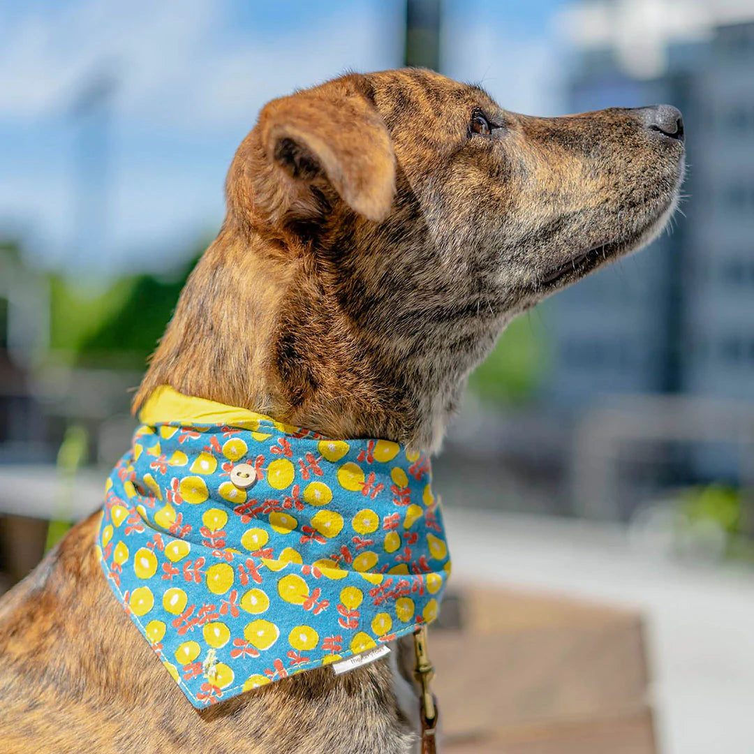 Brindle dog wearing a bright, patterned bandana looks ahead.